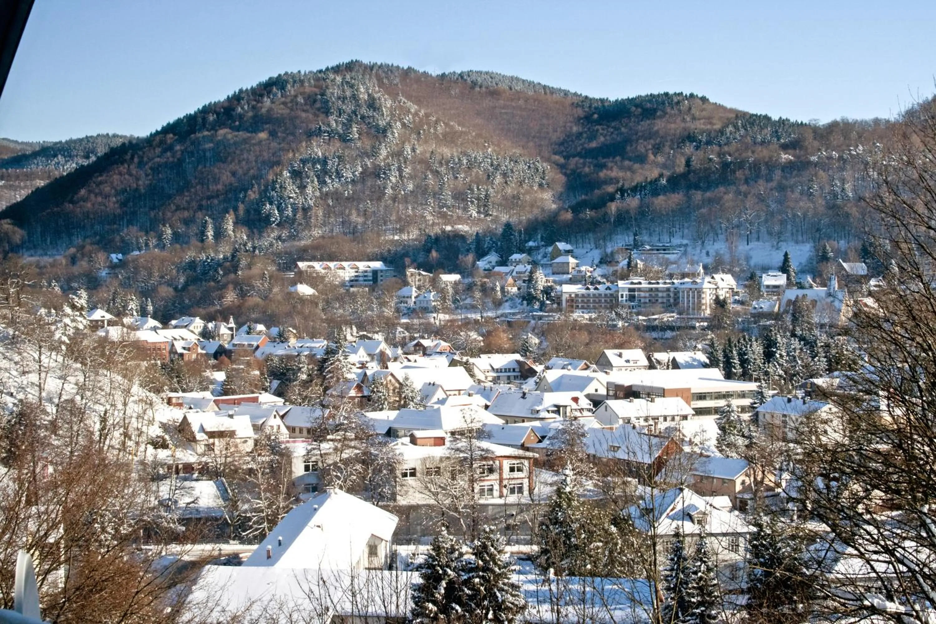 Nearby landmark in Aktivhotel Heikenberg in Bad Lauterberg