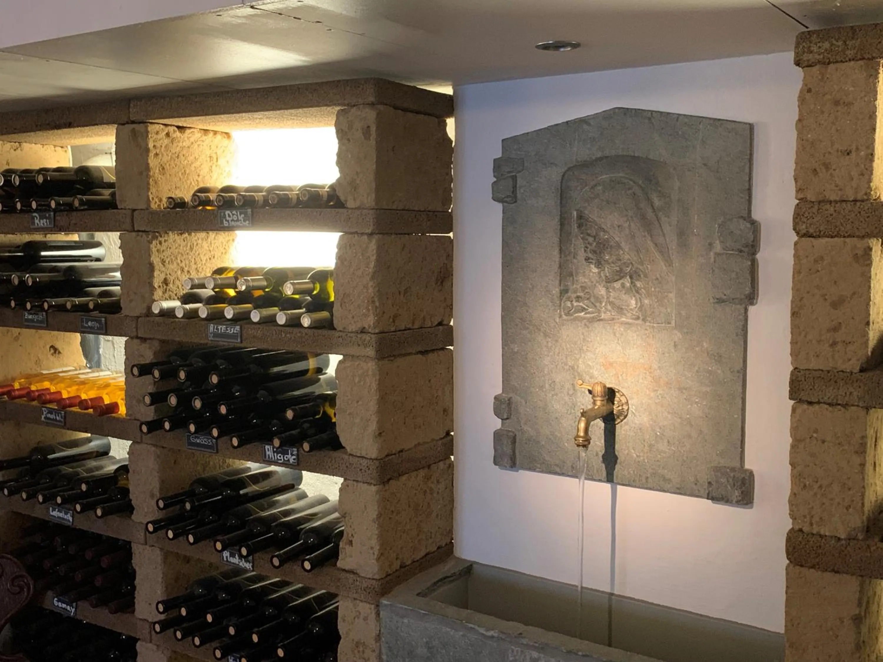 Property building in Alpenblick