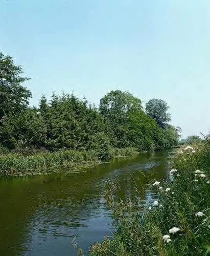 Garden in Marienthaler Gasthof