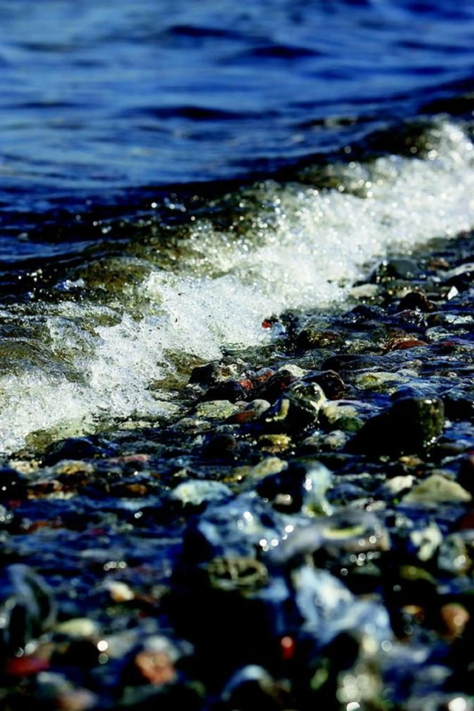 Beach in Storebælt Sinatur Hotel & Konference