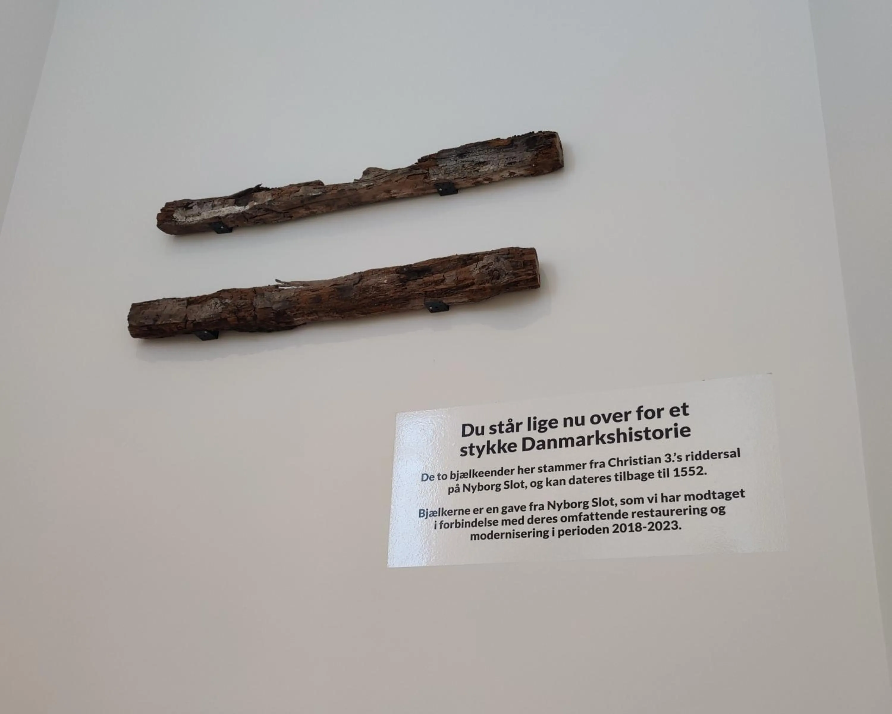 Area and facilities in Storebælt Sinatur Hotel & Konference