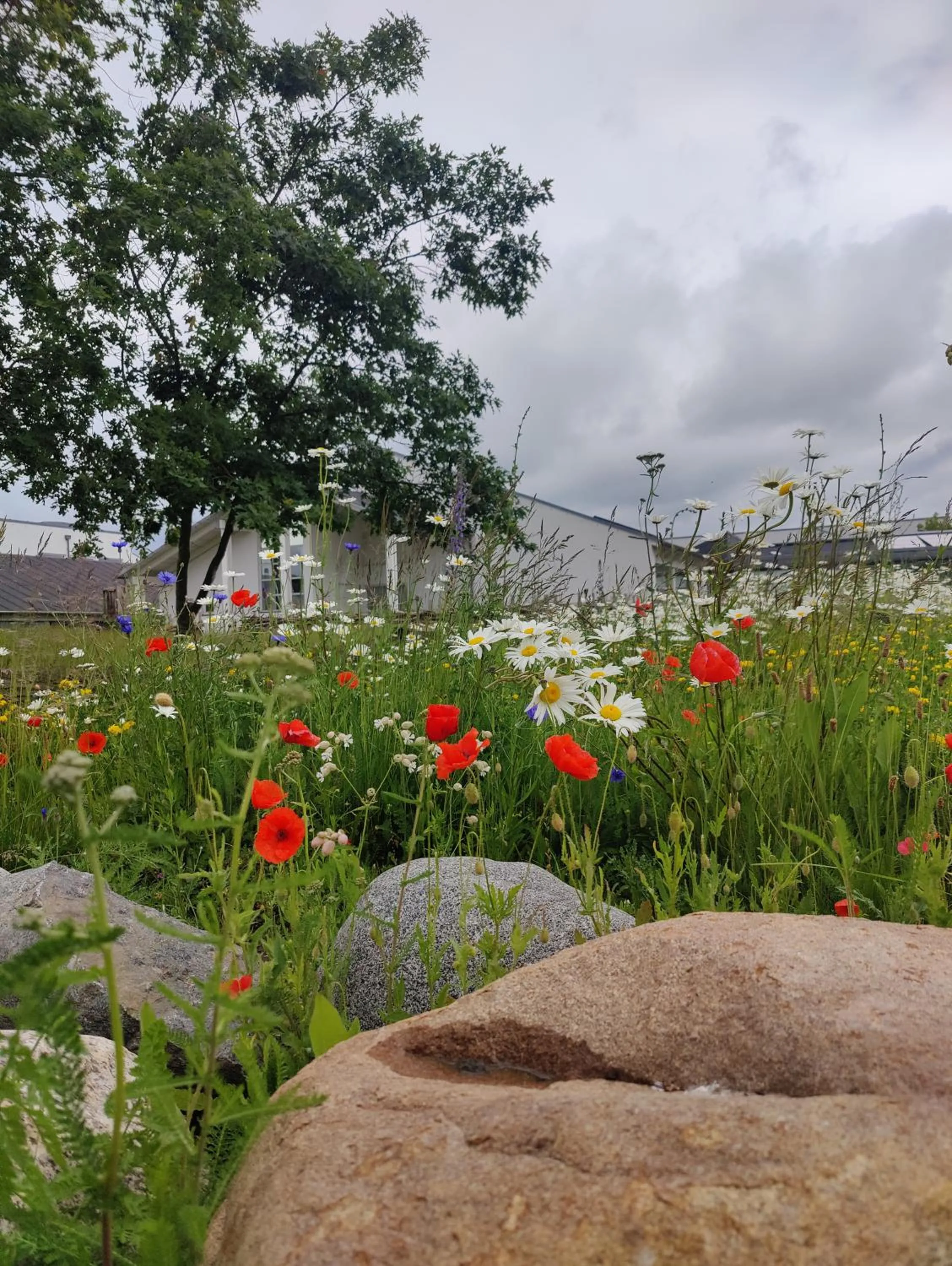 Garden in Storebælt Sinatur Hotel & Konference