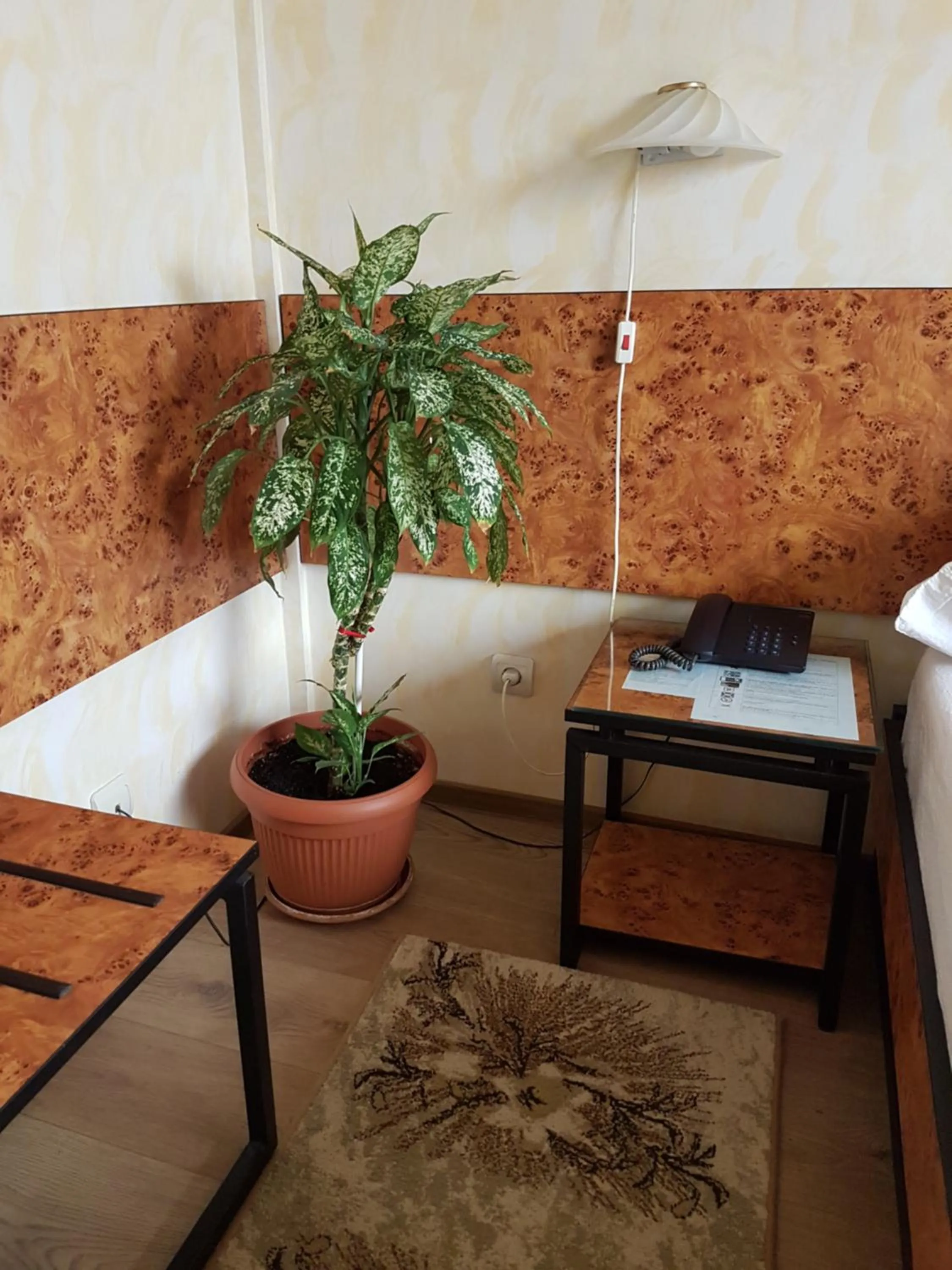 View (from property/room) in Hotel Central