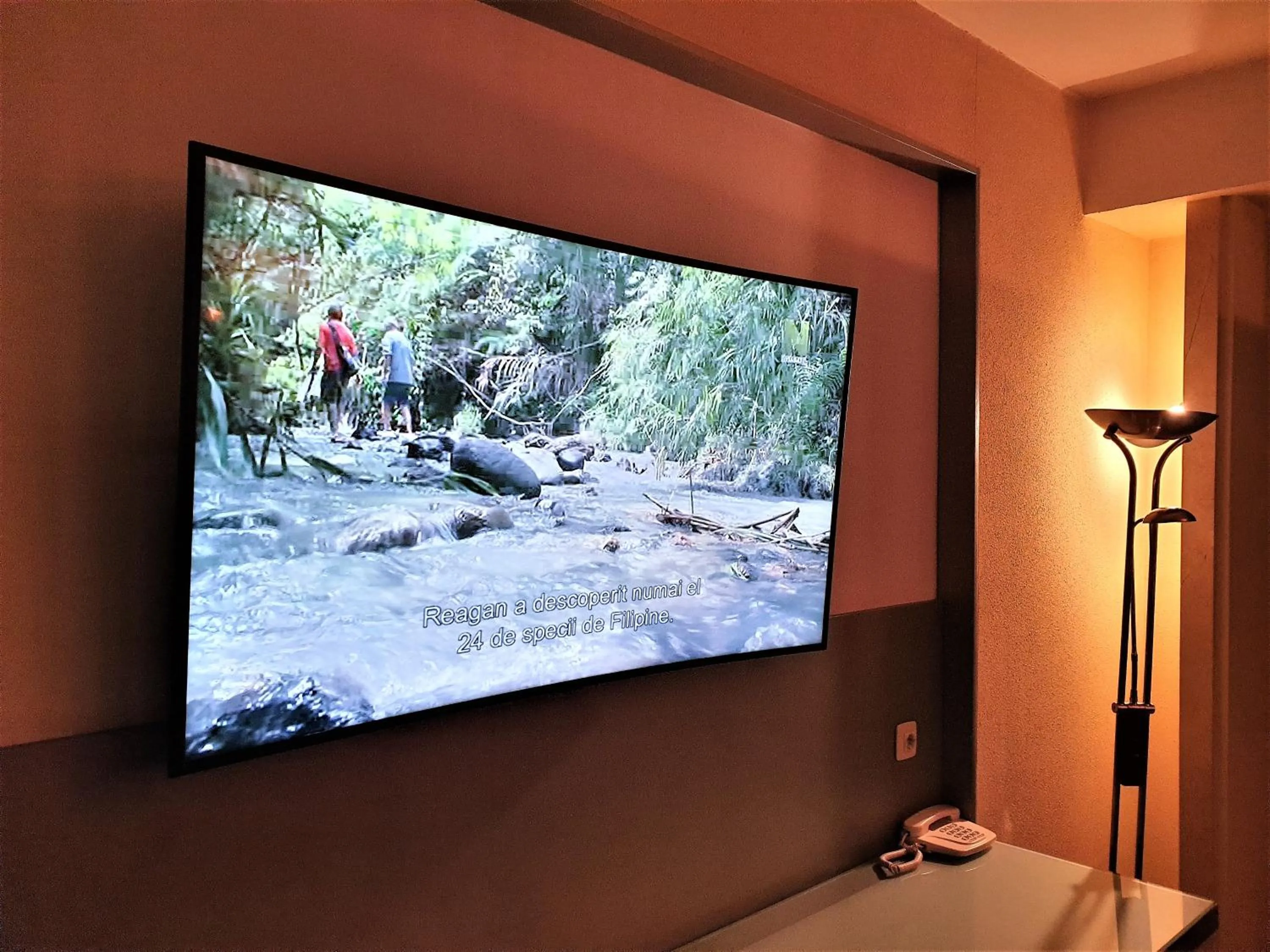 TV and multimedia in Hotel Central