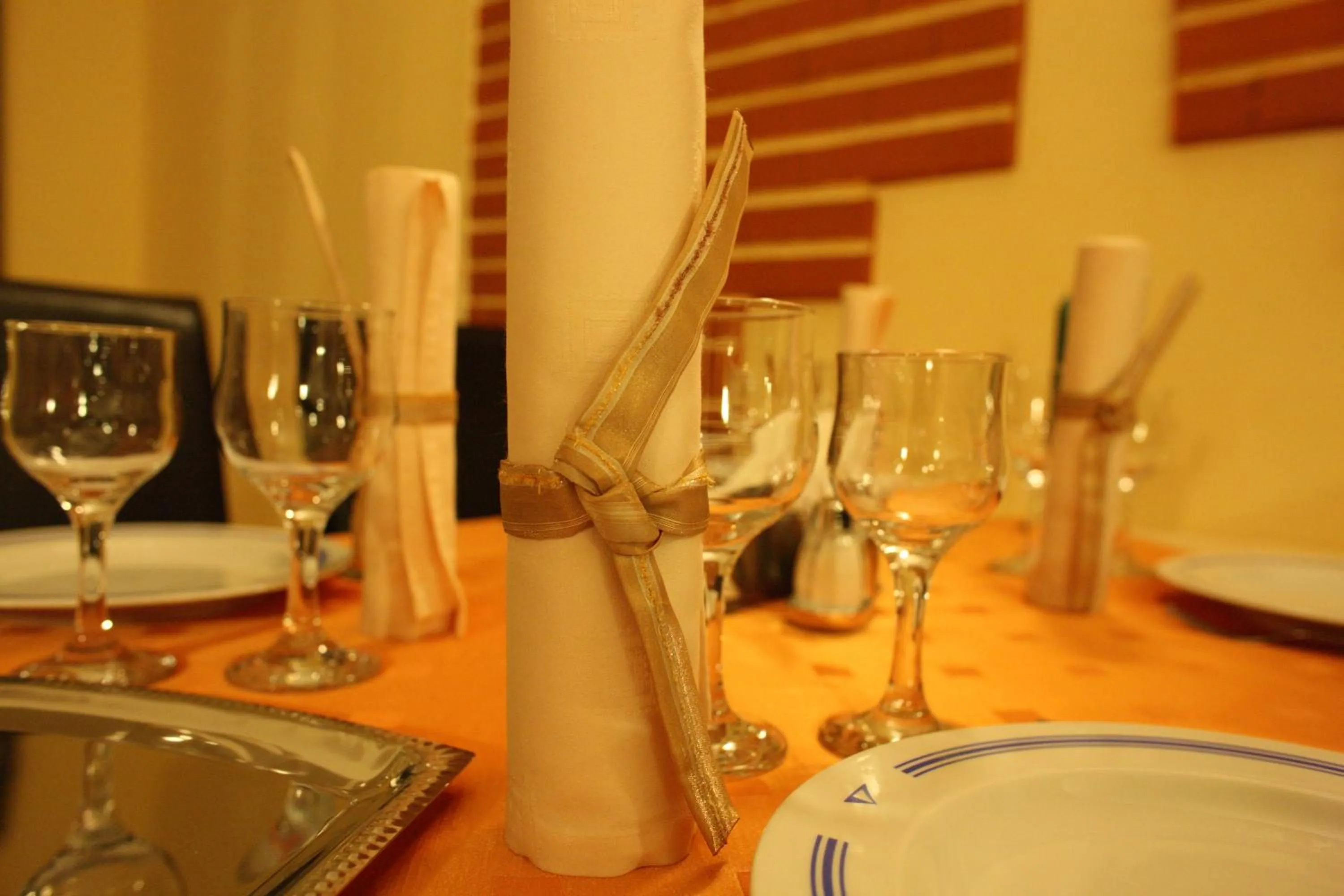 Dinner in Hotel Central