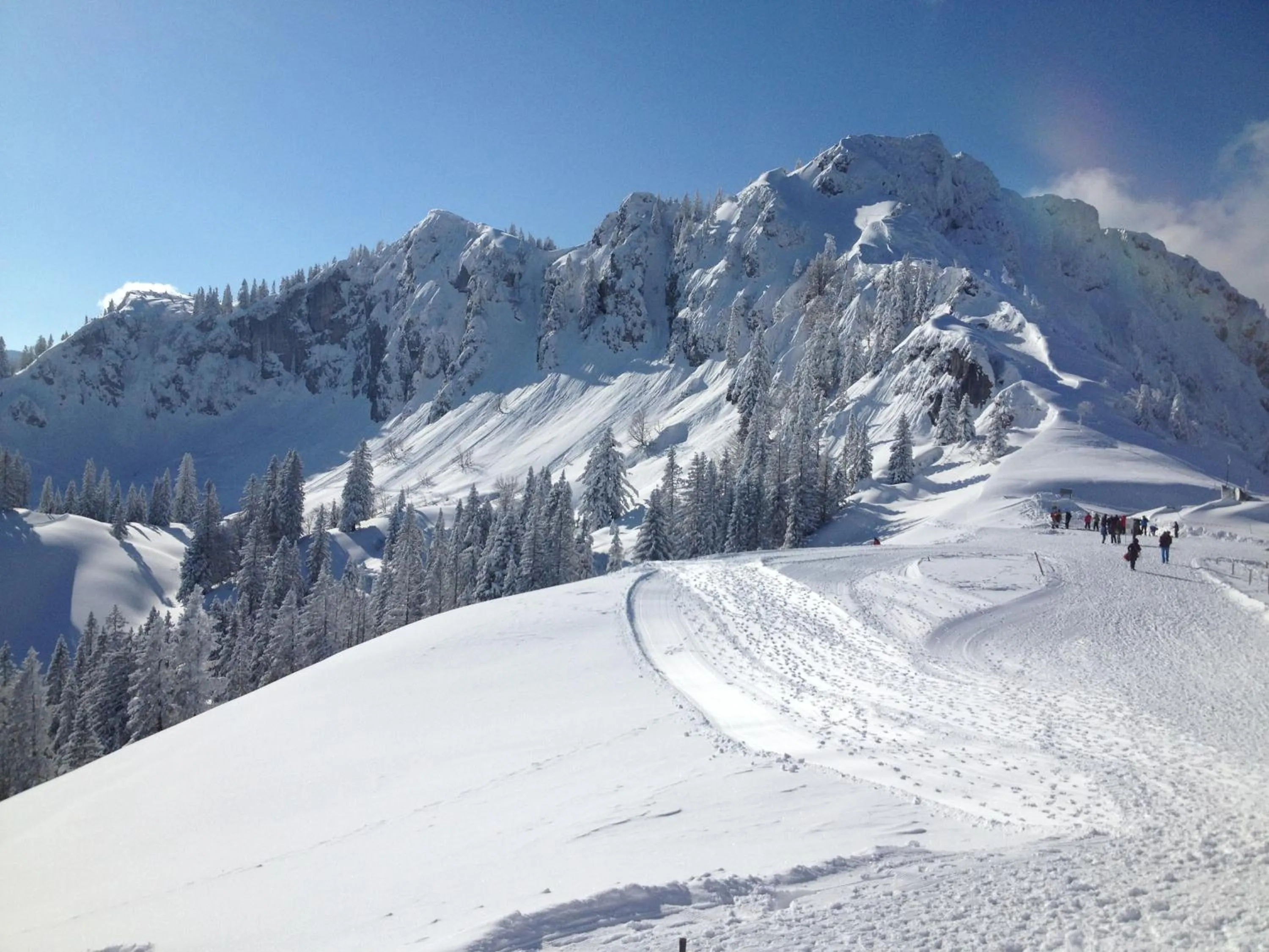 Area and facilities in Apparthotel Garni Superior Simsseeblick