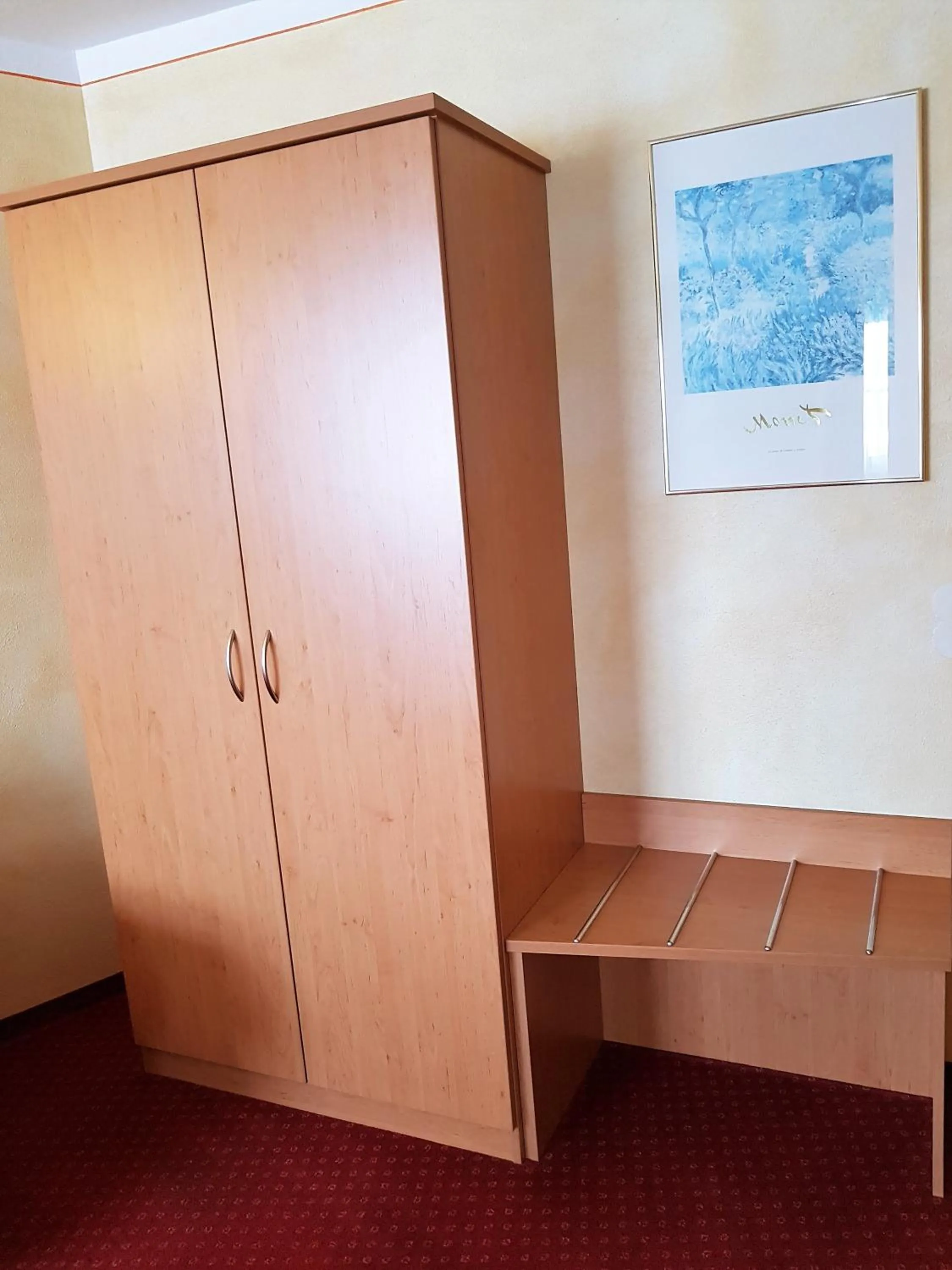 Photo of the whole room in Apparthotel Garni Superior Simsseeblick