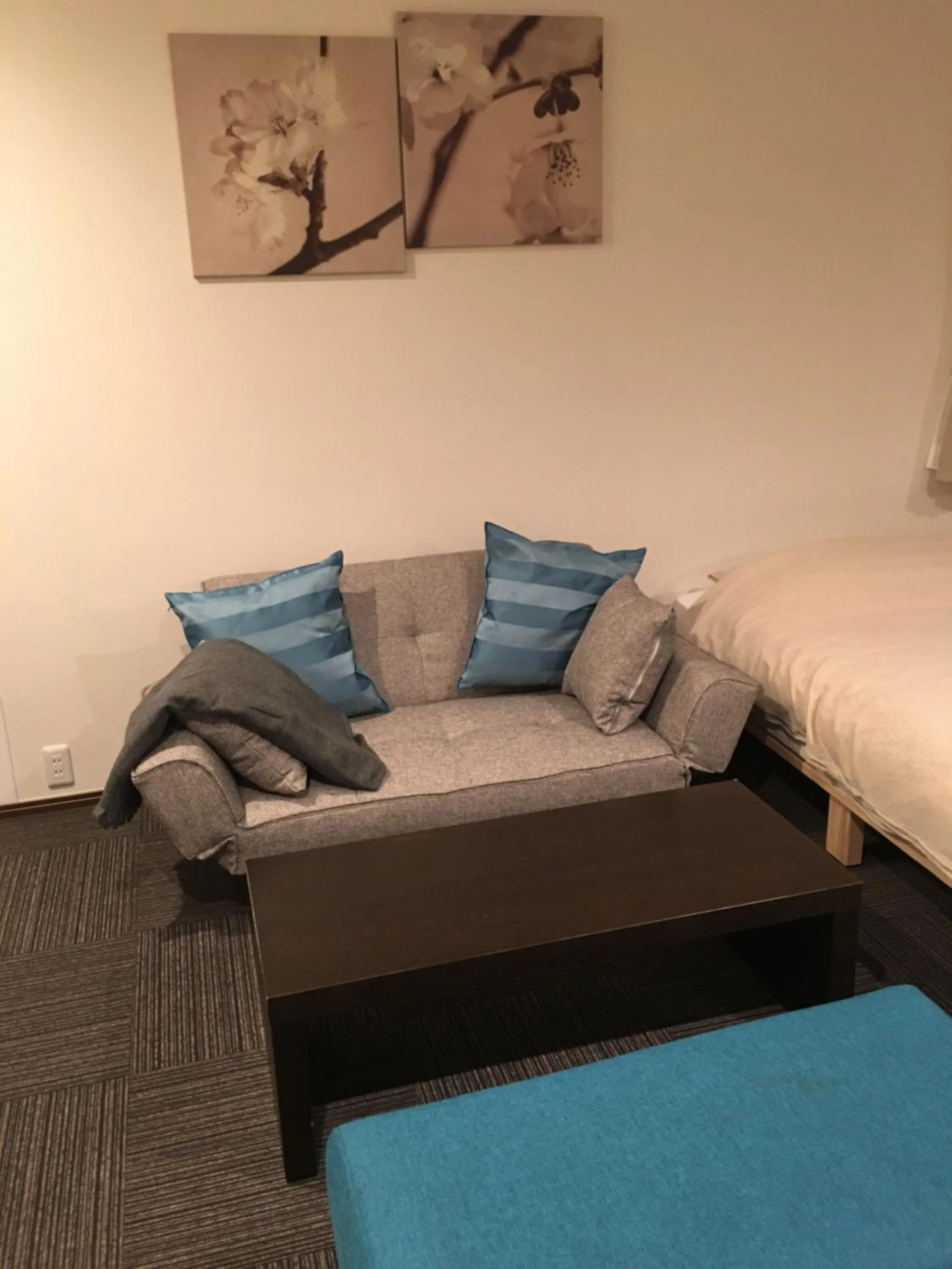 Fuji scenic house 73