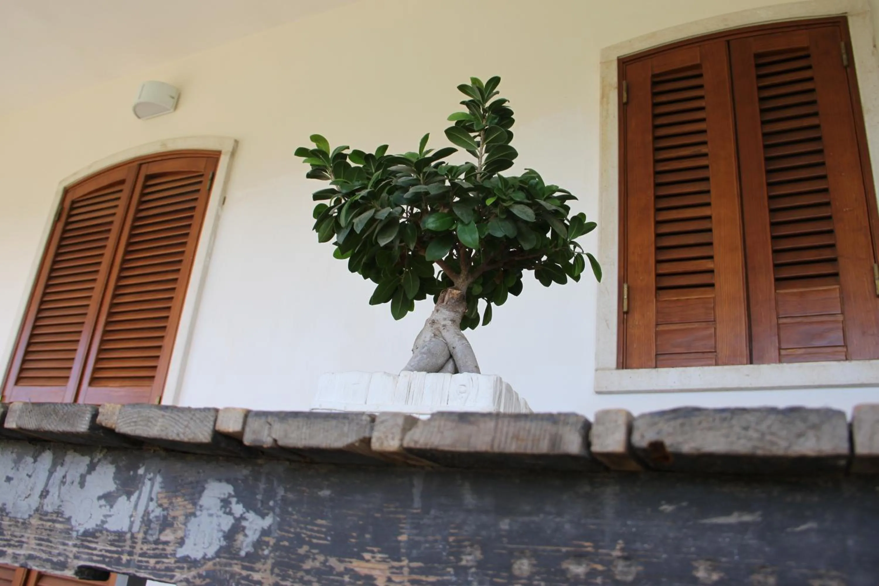 Property building in B&B Le Terrazze Lama Balice