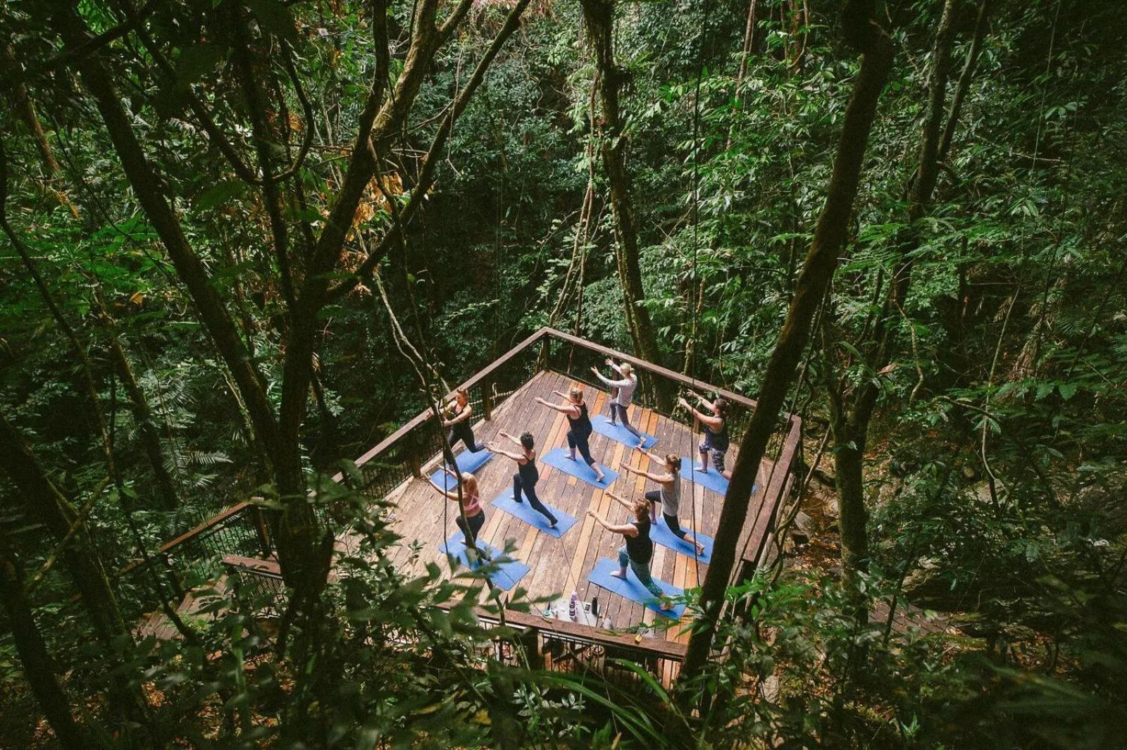 Activities in Daintree Ecolodge