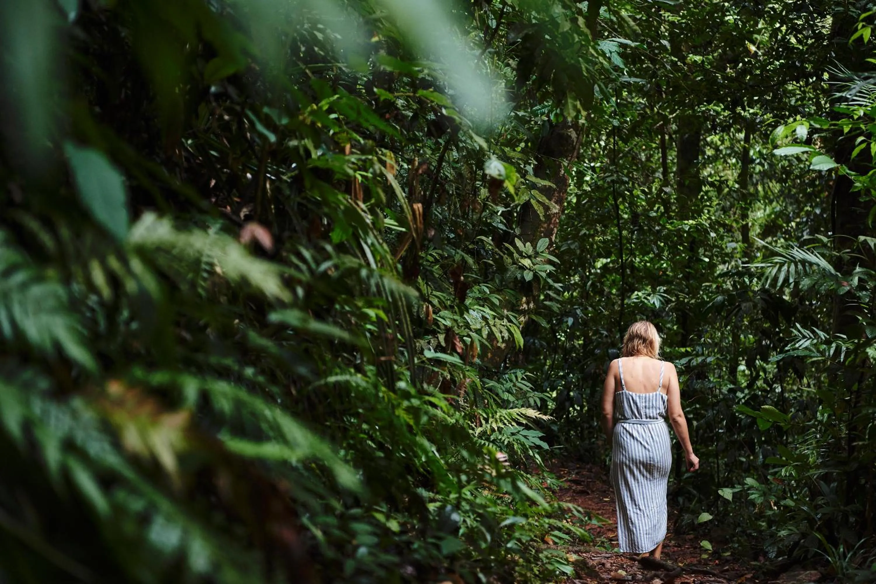 People in Daintree Ecolodge