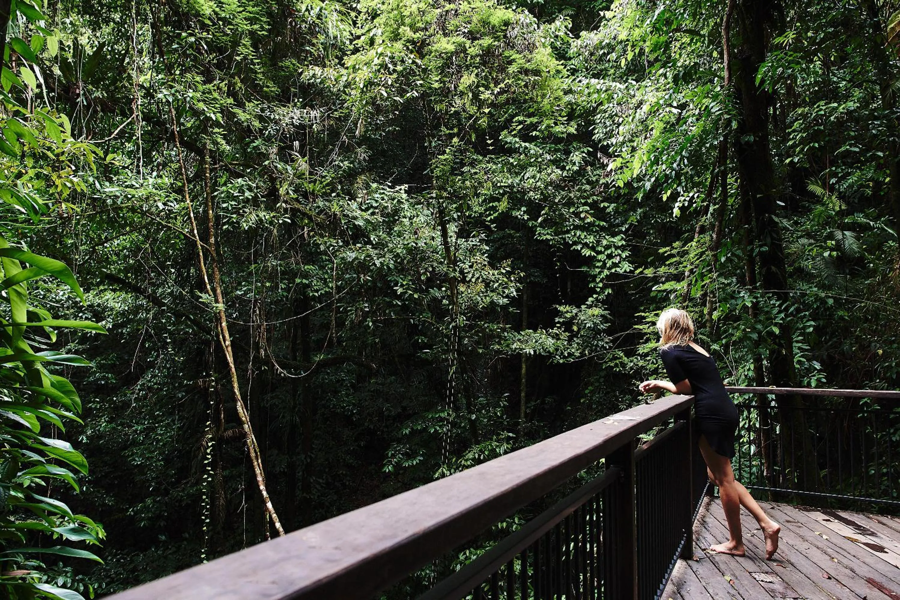 Natural landscape in Daintree Ecolodge
