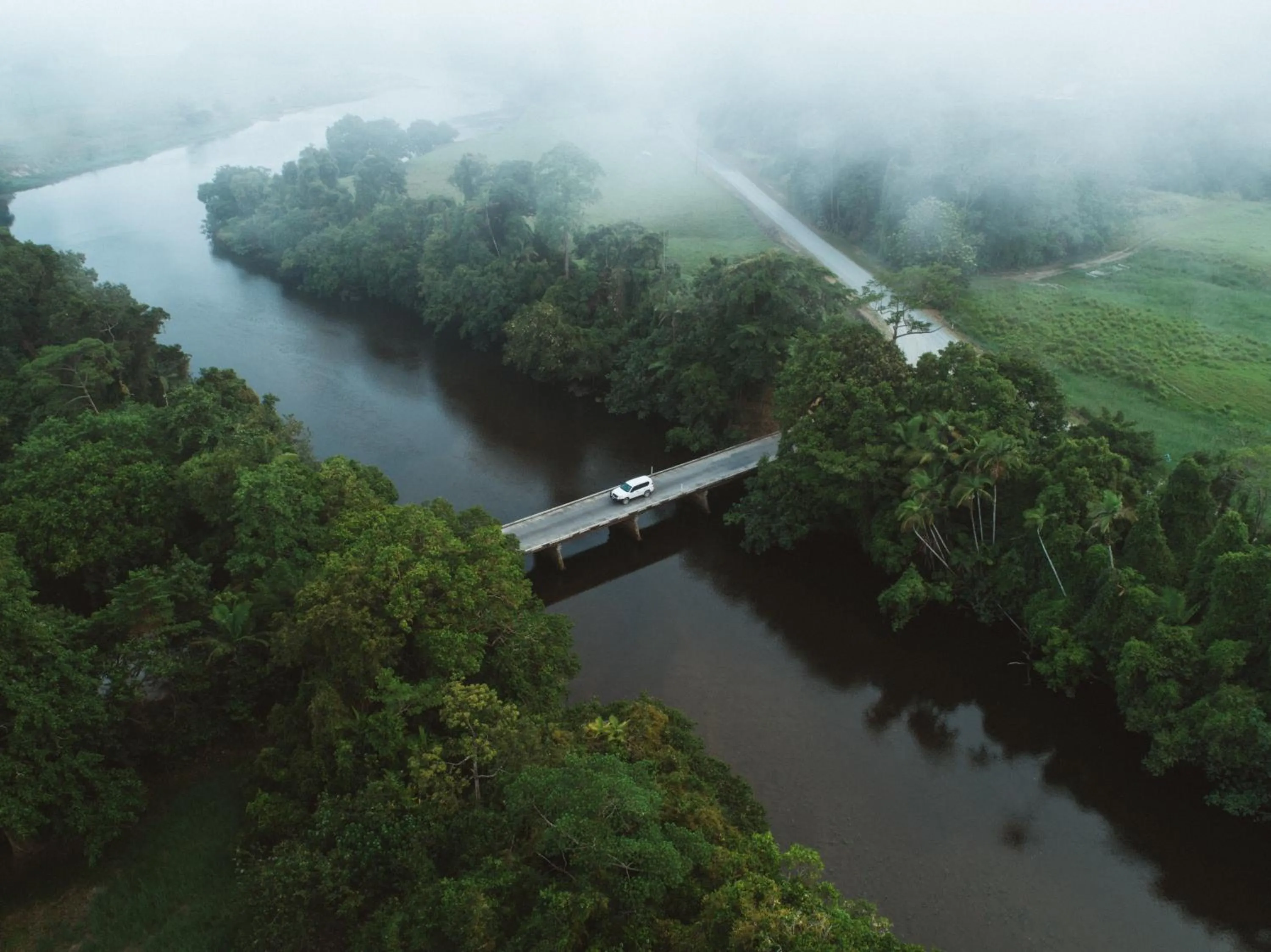 Natural landscape in Daintree Ecolodge