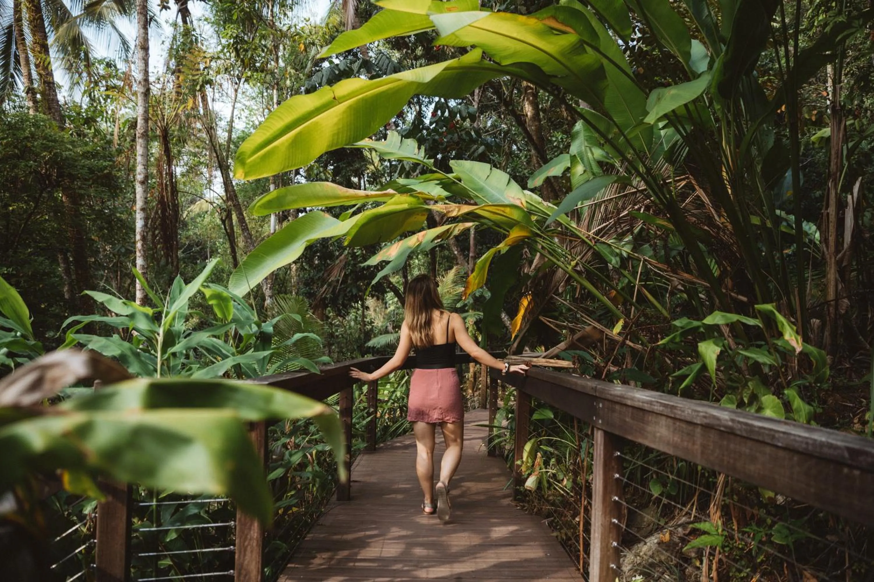 Garden in Daintree Ecolodge