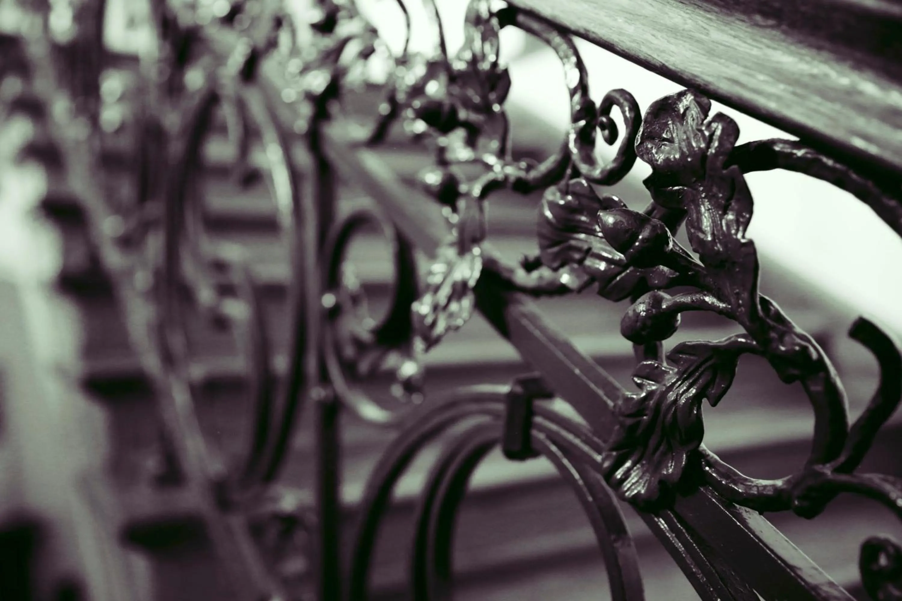 Area and facilities in Romantik Hotel Schloss Reichenow