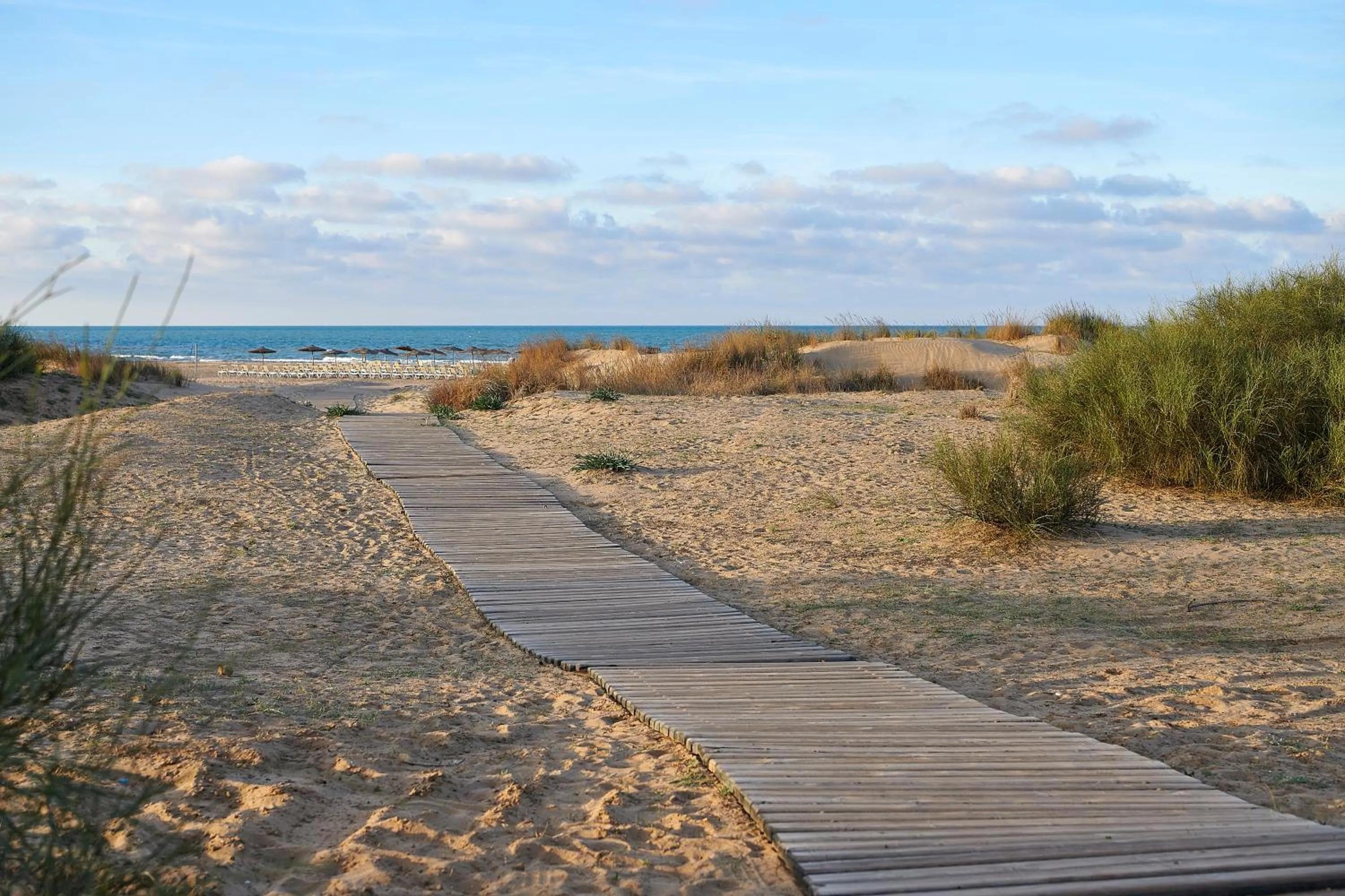 Beach in Iberostar Waves Saidia