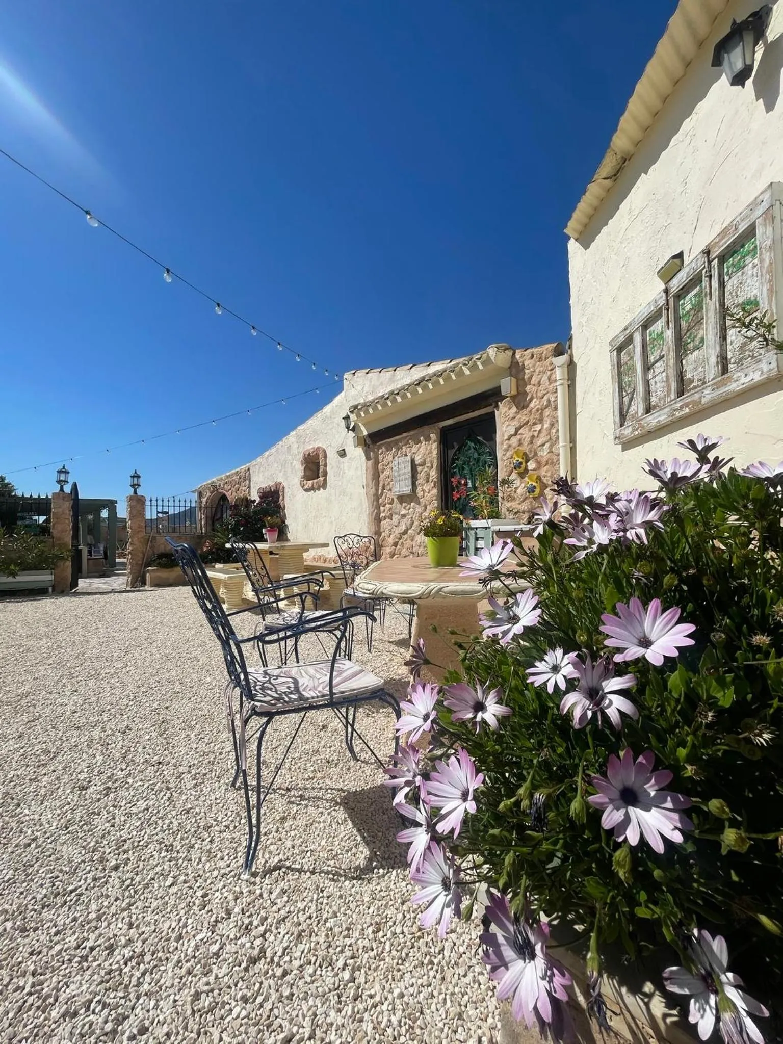 Garden in Casa Rural Ubeda - B&B - Pinoso-Alicante