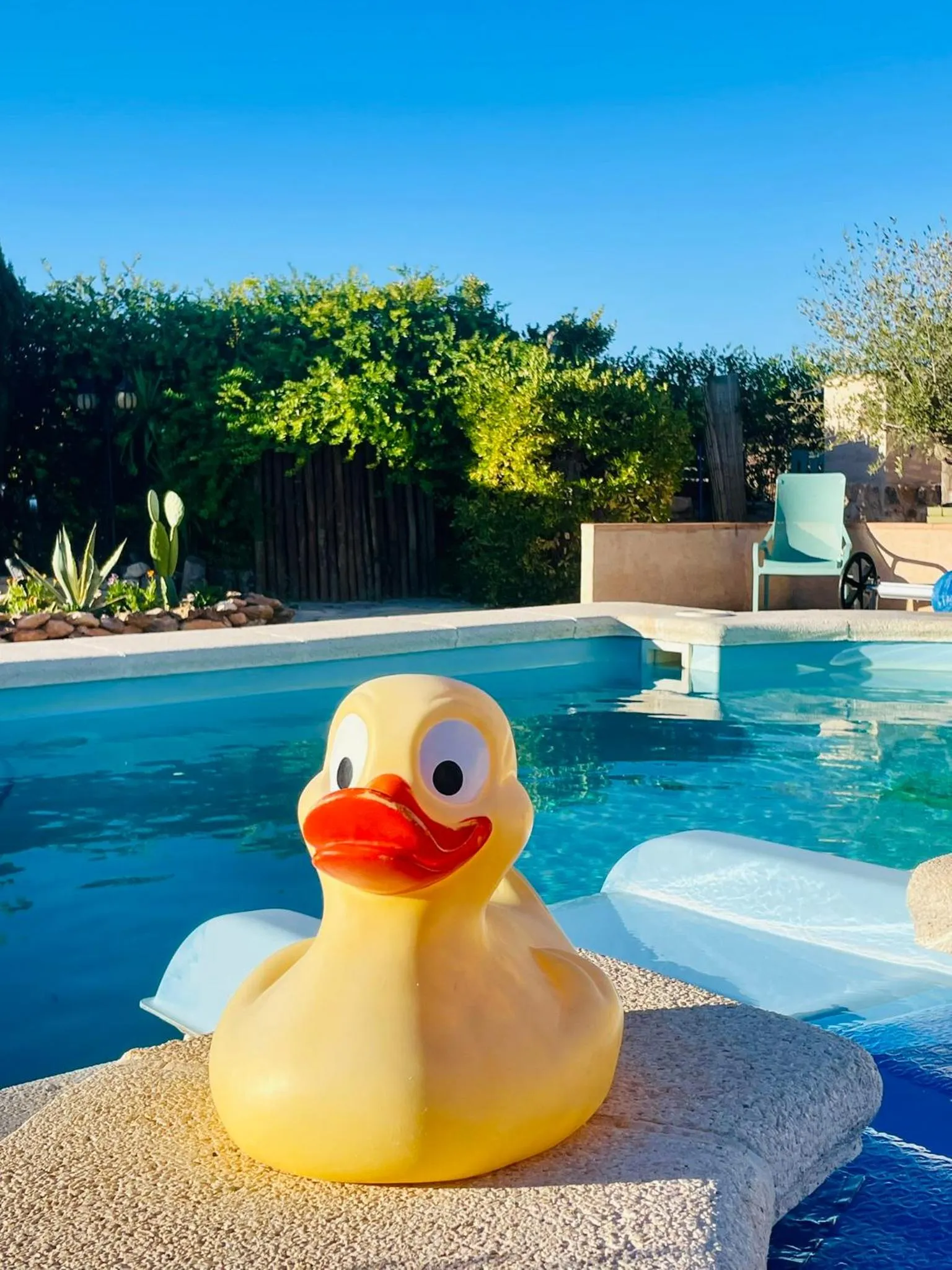 Swimming pool in Casa Rural Ubeda - B&B - Pinoso-Alicante