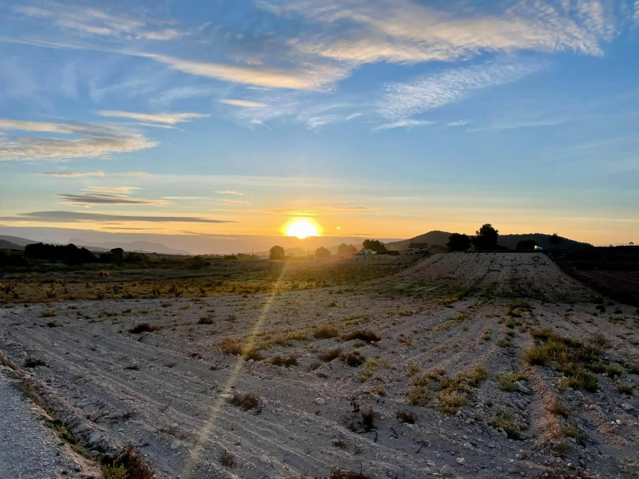 View (from property/room) in Casa Rural Ubeda - B&B - Pinoso-Alicante
