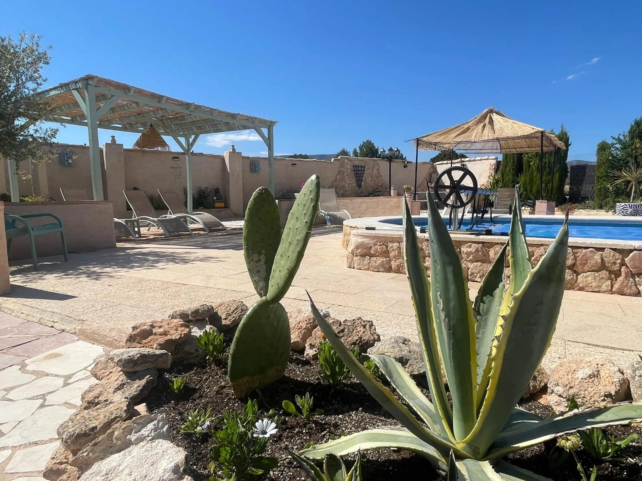 Garden in Casa Rural Ubeda - B&B - Pinoso-Alicante