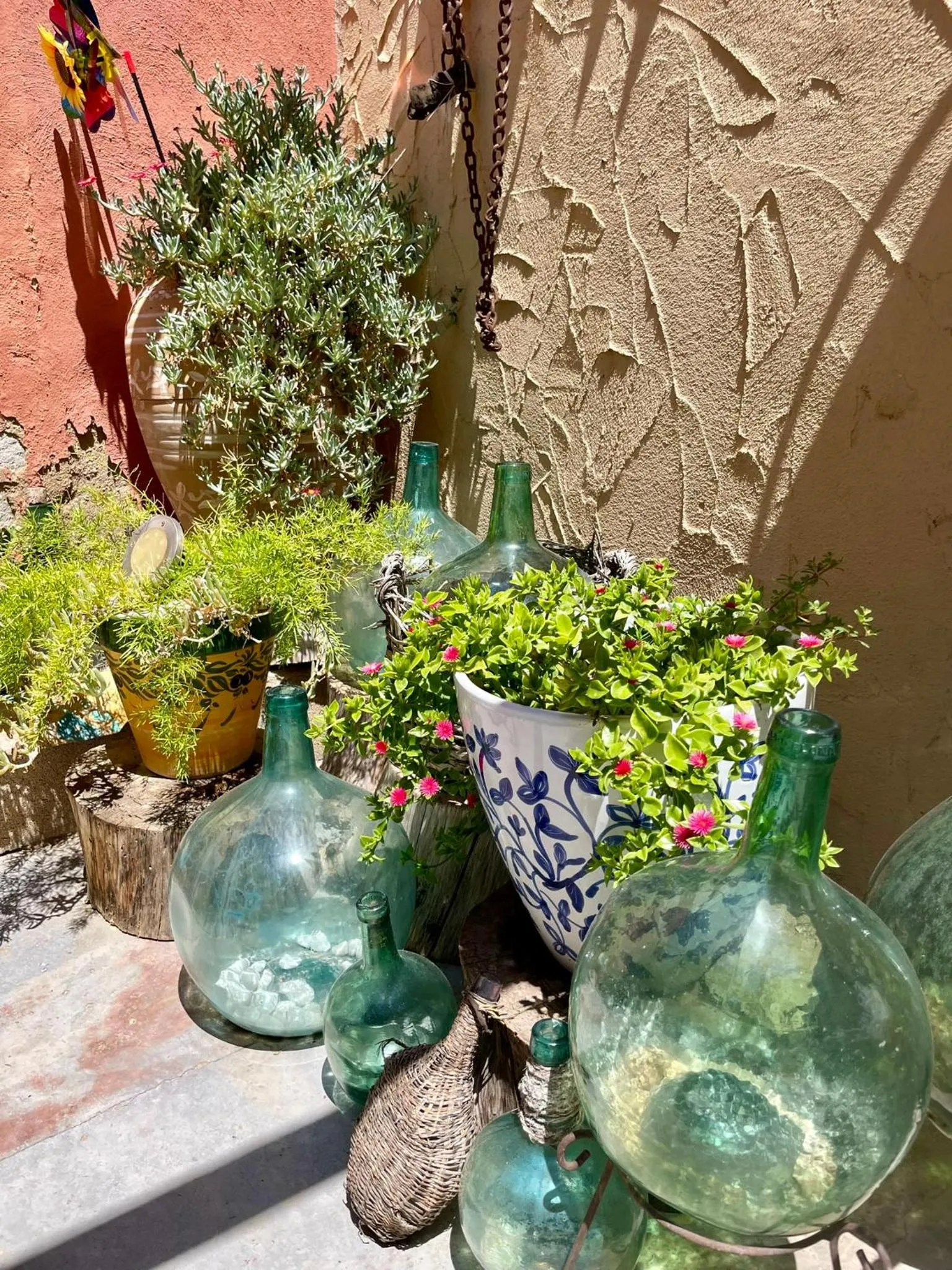 Garden in Casa Rural Ubeda - B&B - Pinoso-Alicante