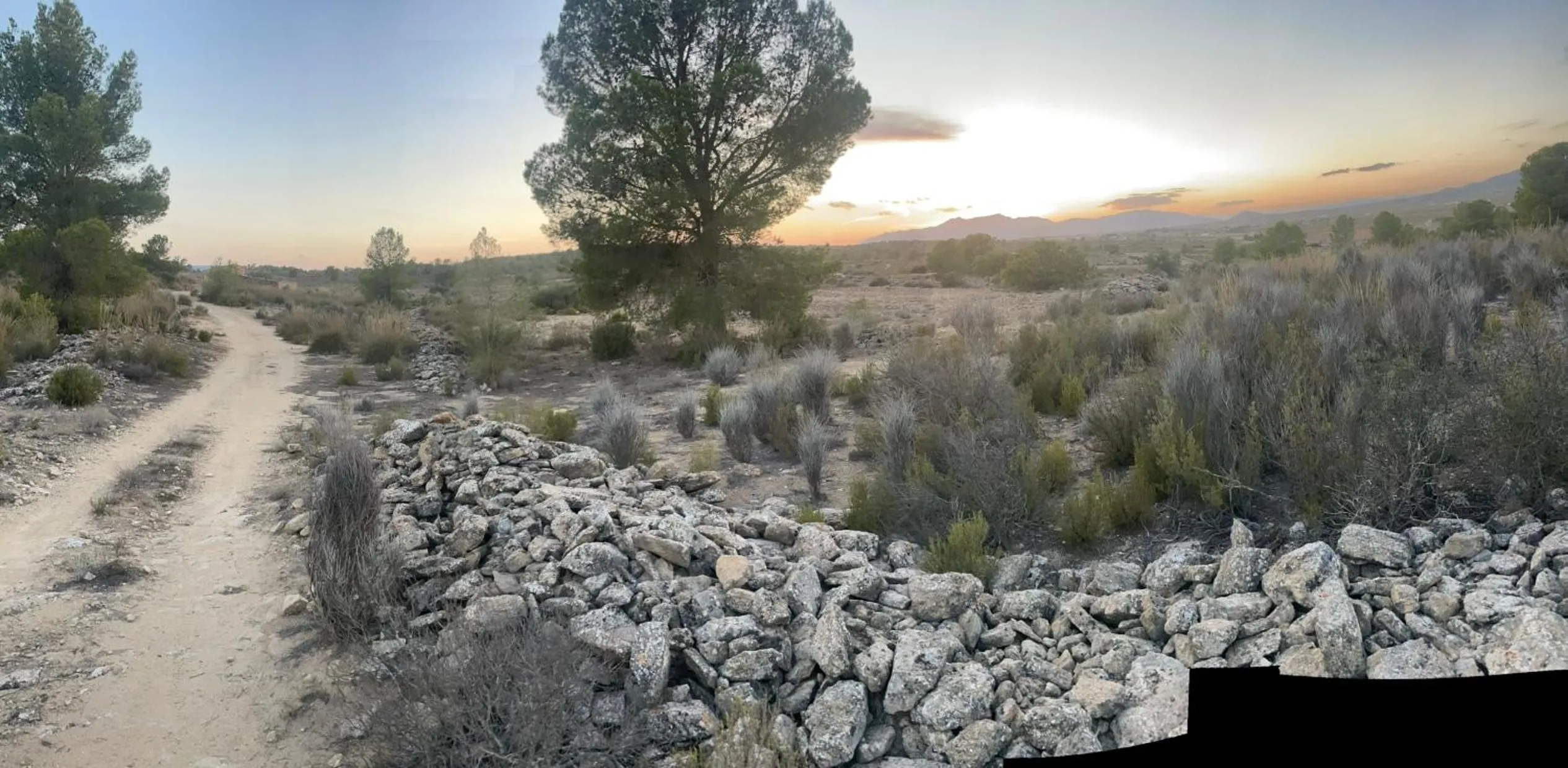 Area and facilities in Casa Rural Ubeda - B&B - Pinoso-Alicante