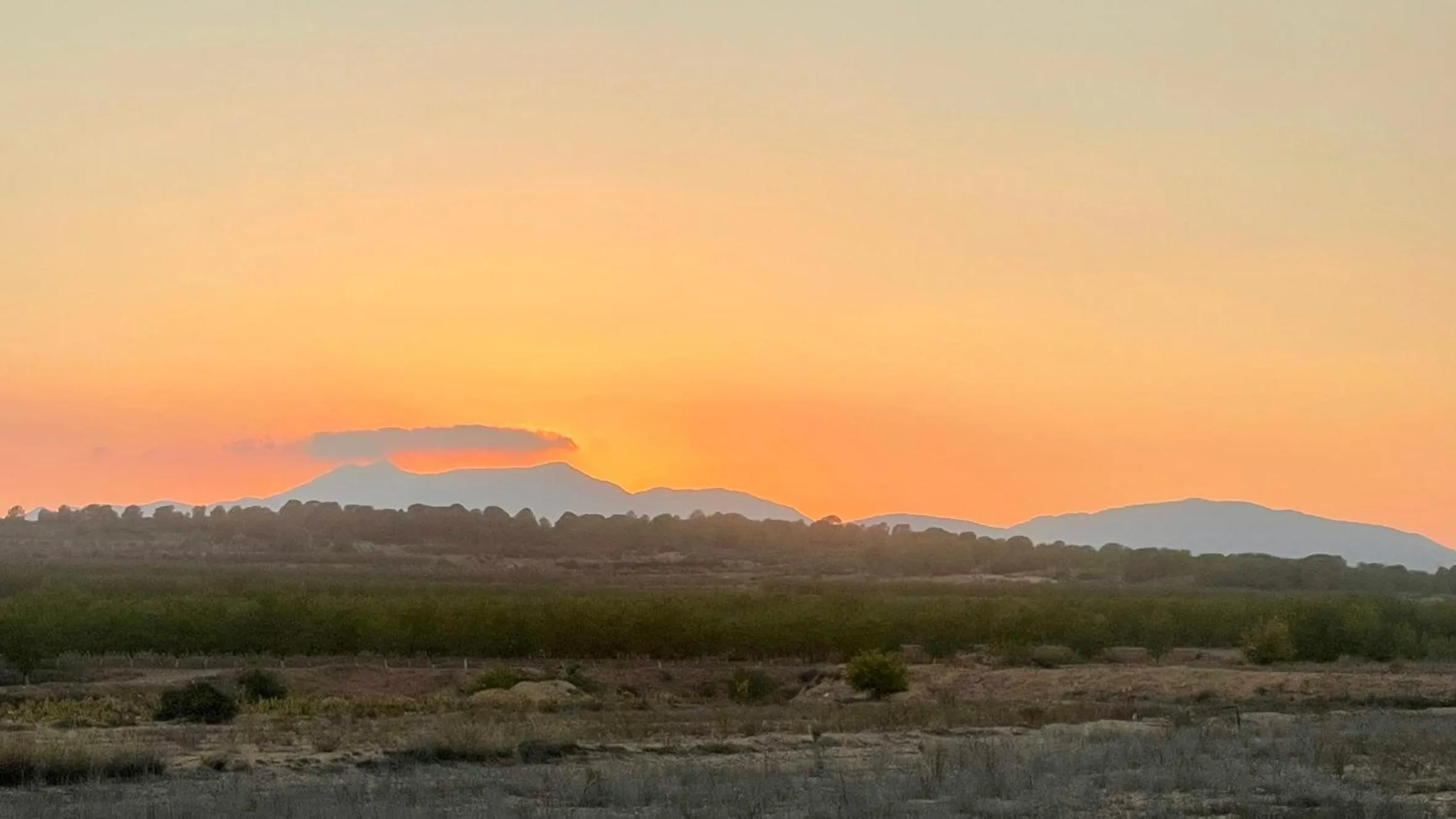 View (from property/room) in Casa Rural Ubeda - B&B - Pinoso-Alicante