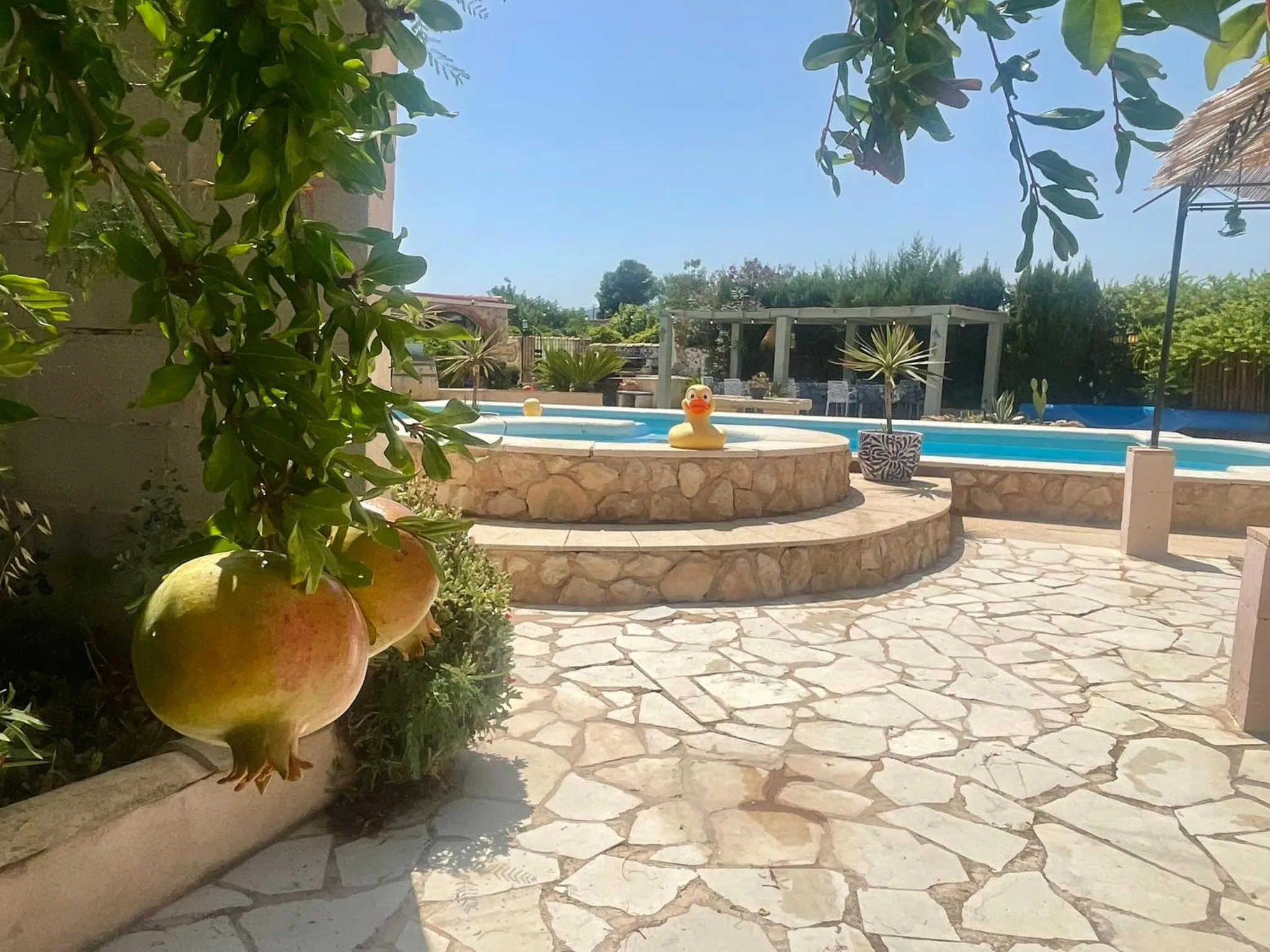 Garden in Casa Rural Ubeda - B&B - Pinoso-Alicante