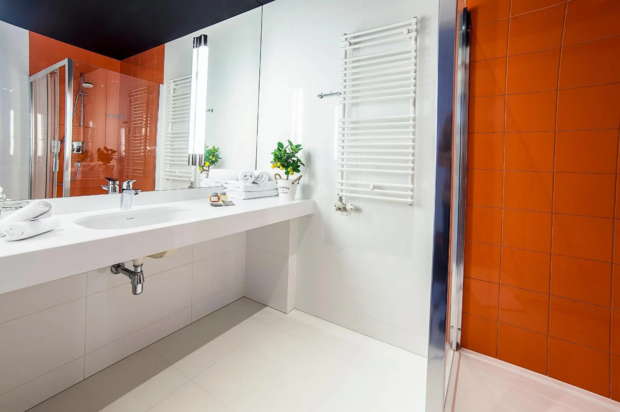 Bathroom in Hotel Metropolitan