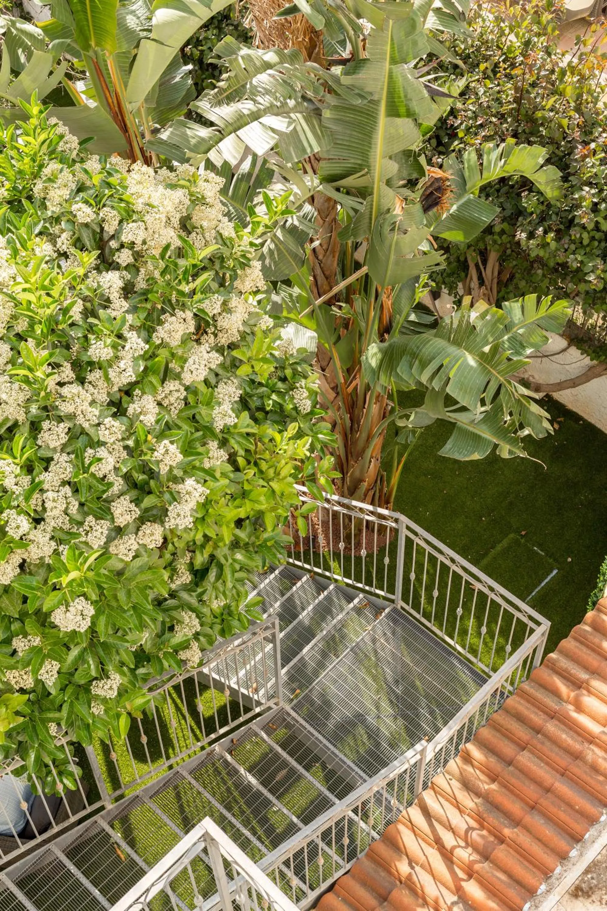 Property building in Hotel Domomea