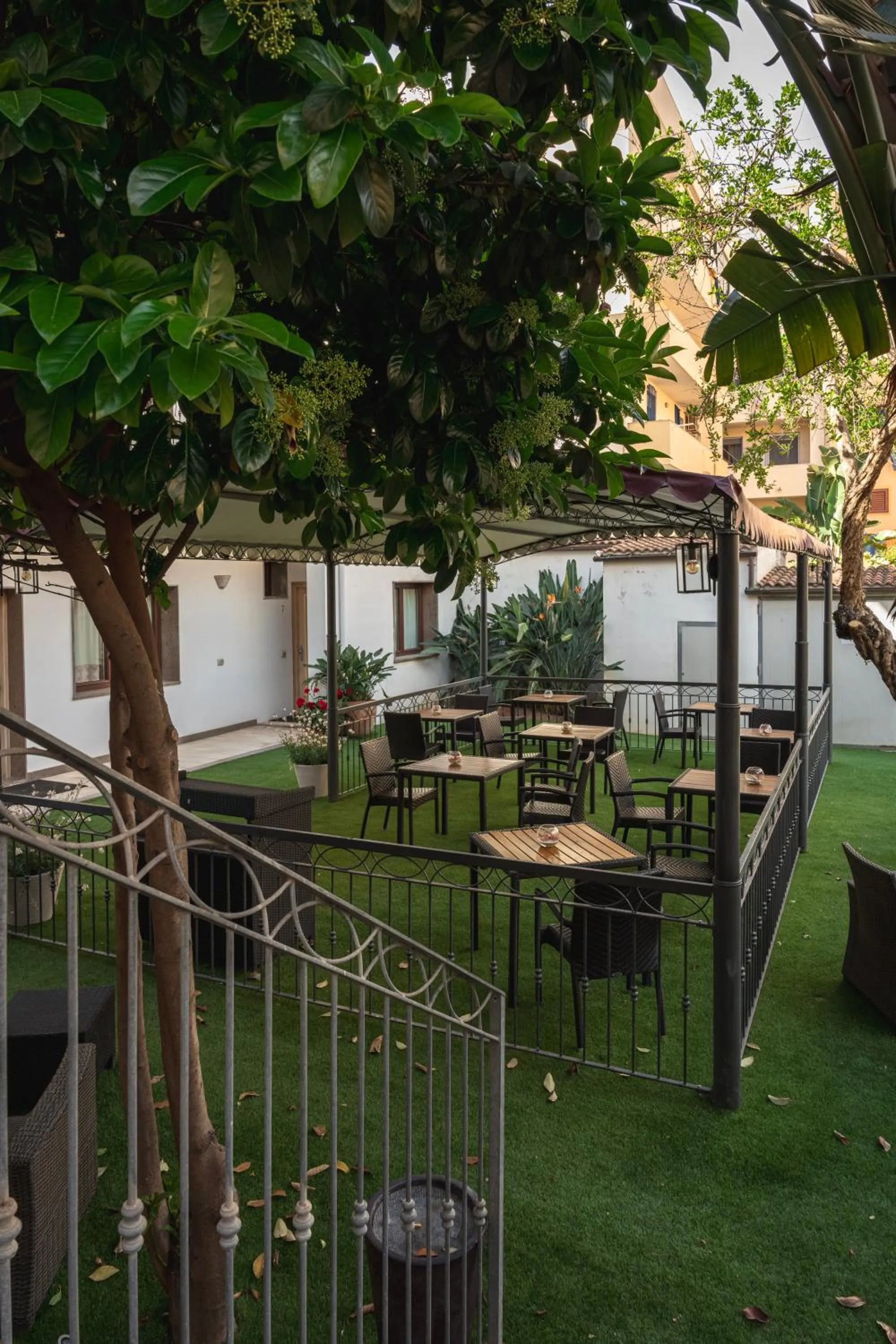 Garden in Hotel Domomea