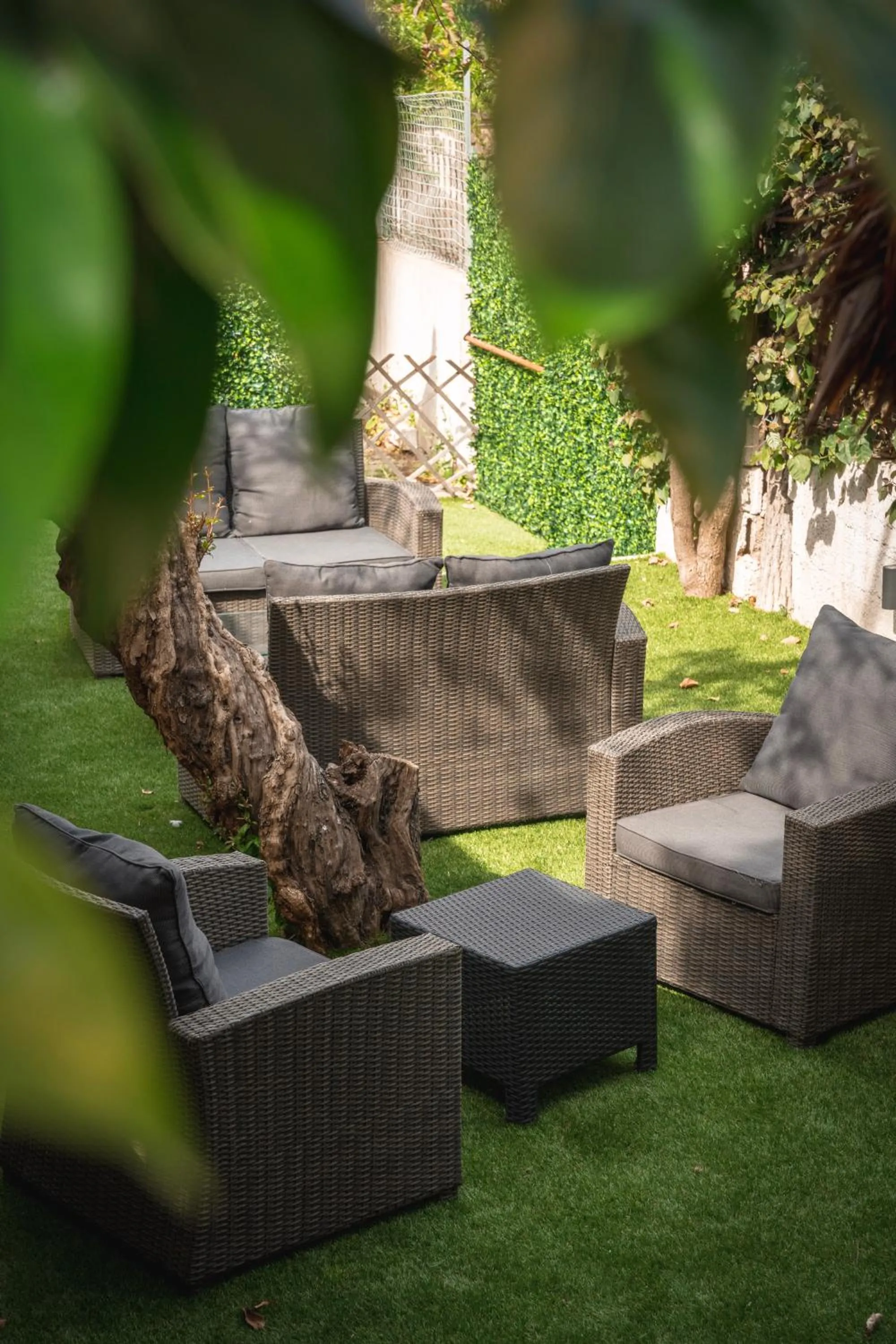 Garden in Hotel Domomea