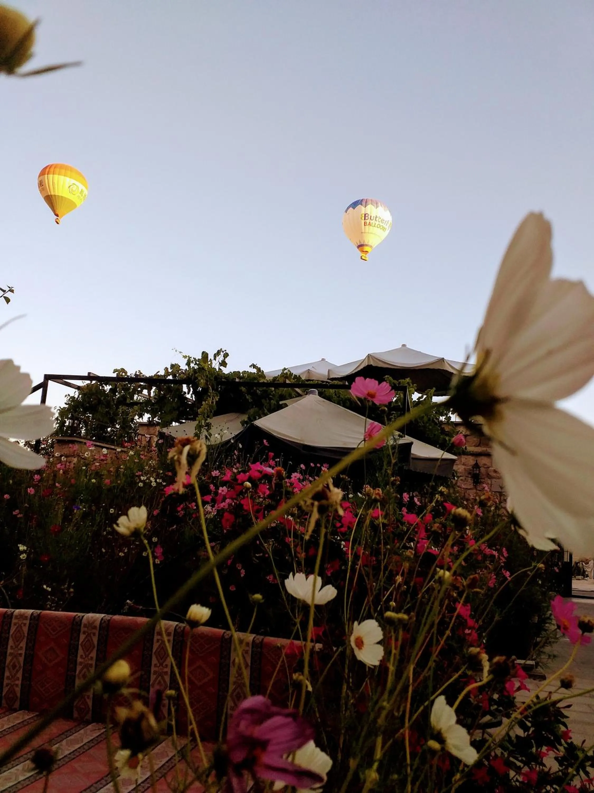 Garden in Guzide Cave Hotel