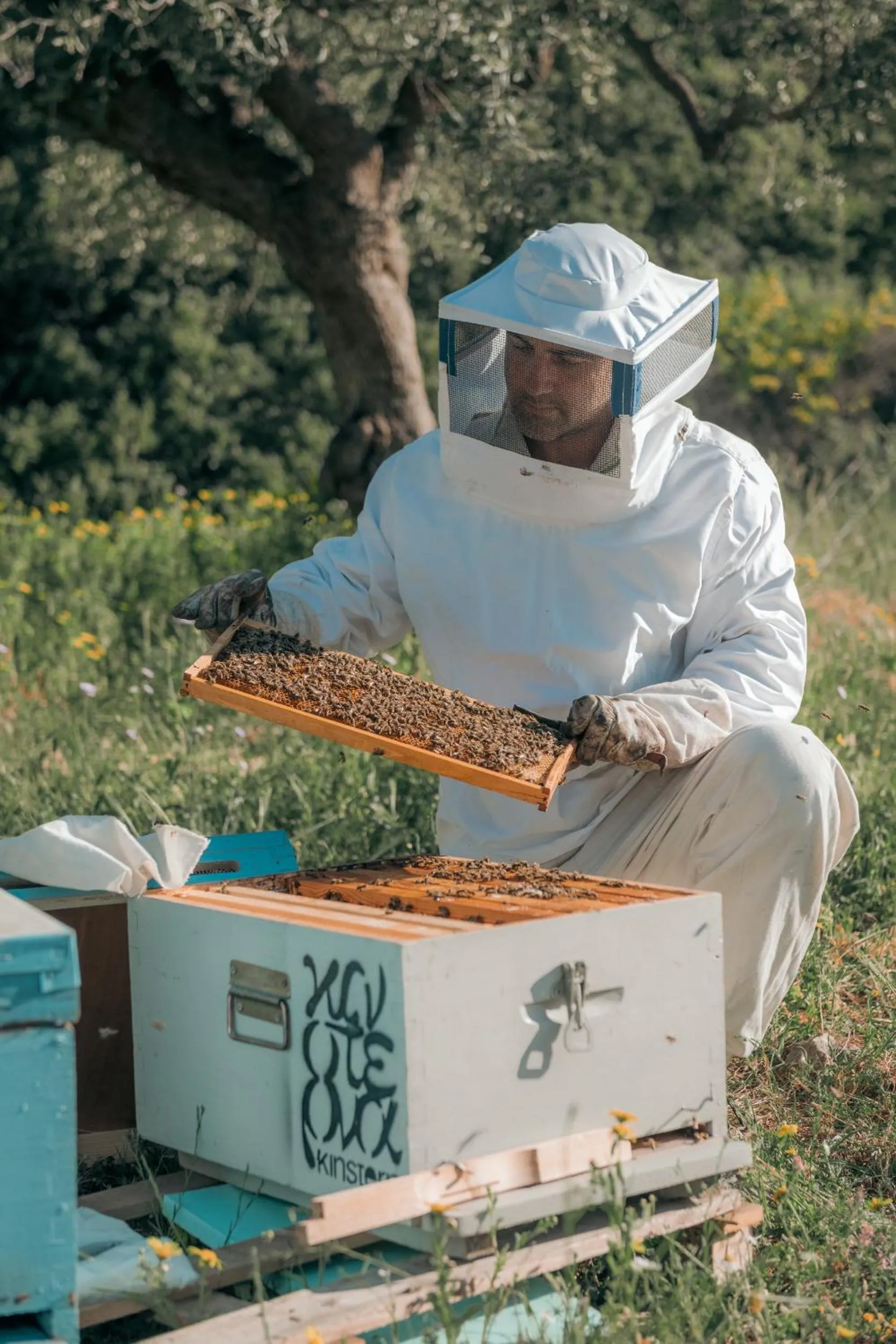 Activities in Kinsterna Hotel