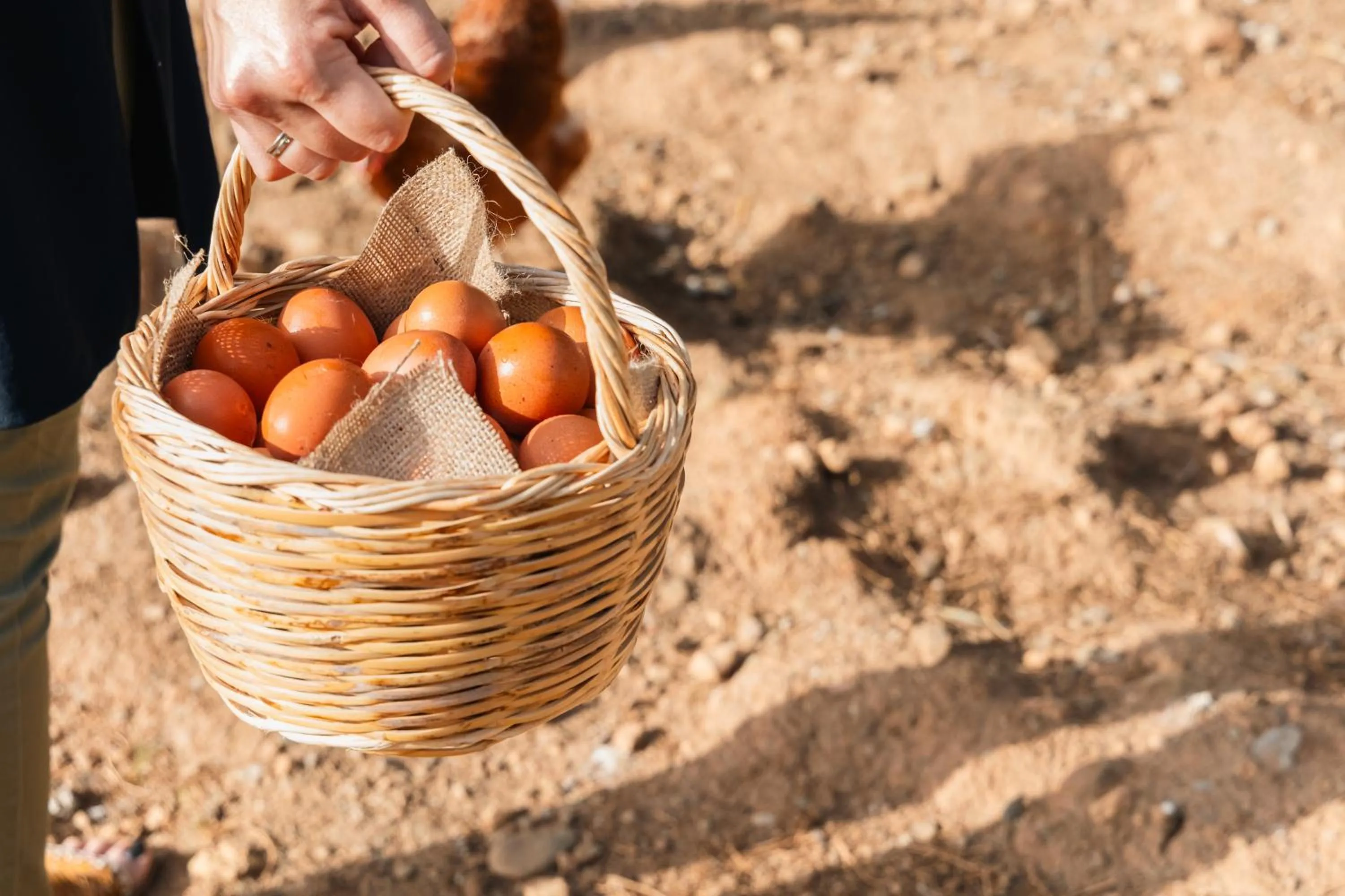 Restaurant/places to eat in Kinsterna Hotel