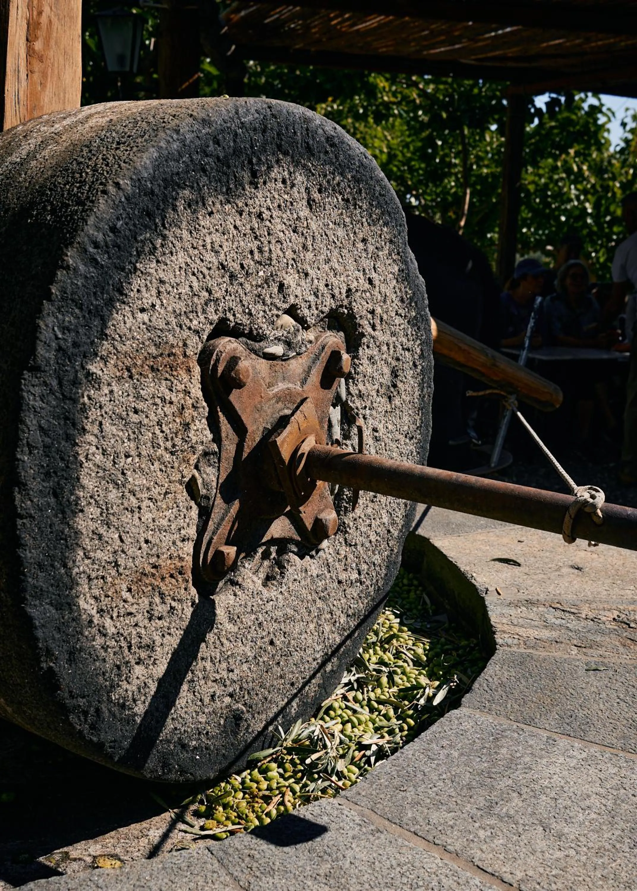 Activities in Kinsterna Hotel