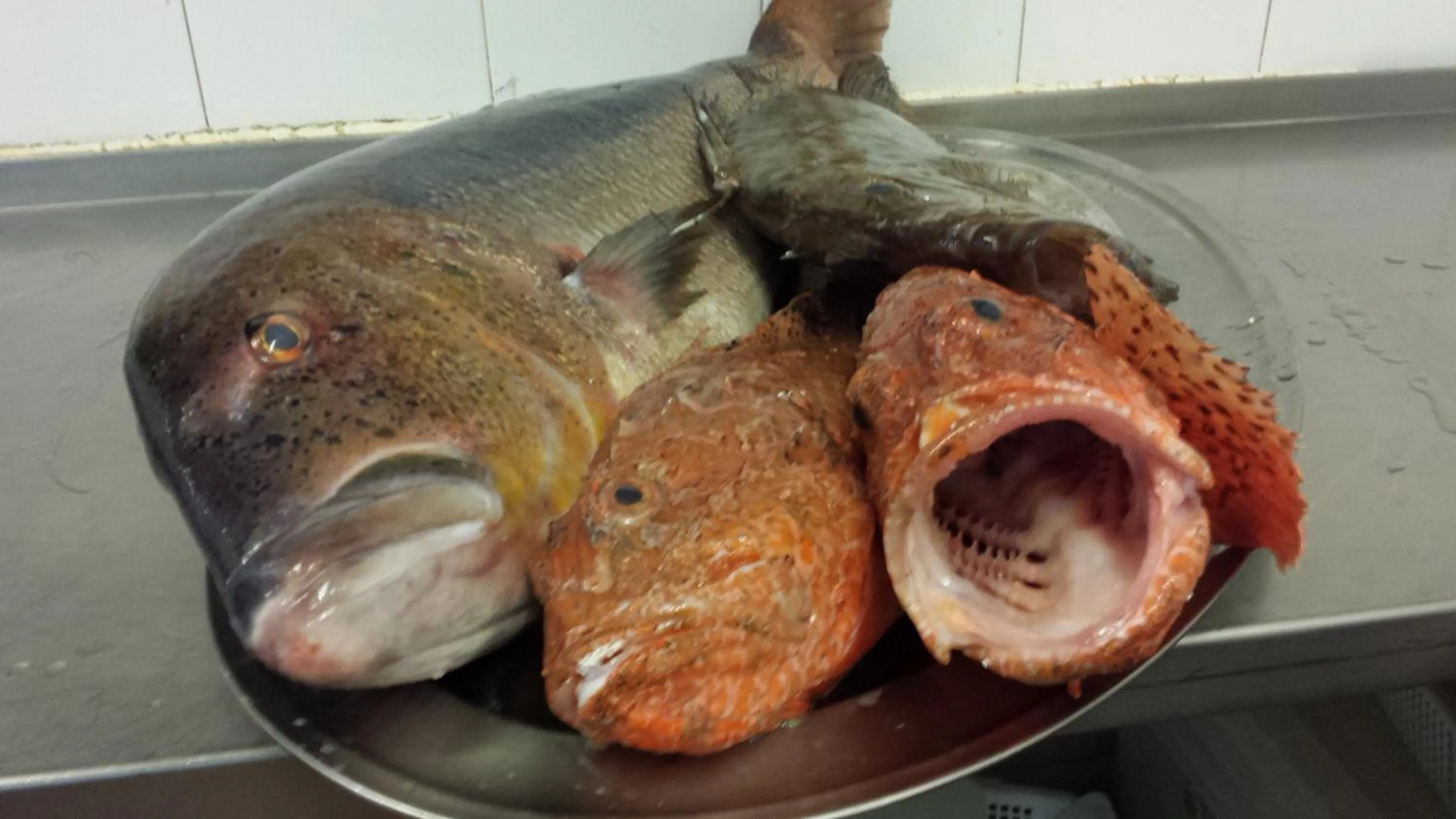 Food and drinks in Hostal Restaurante Playa