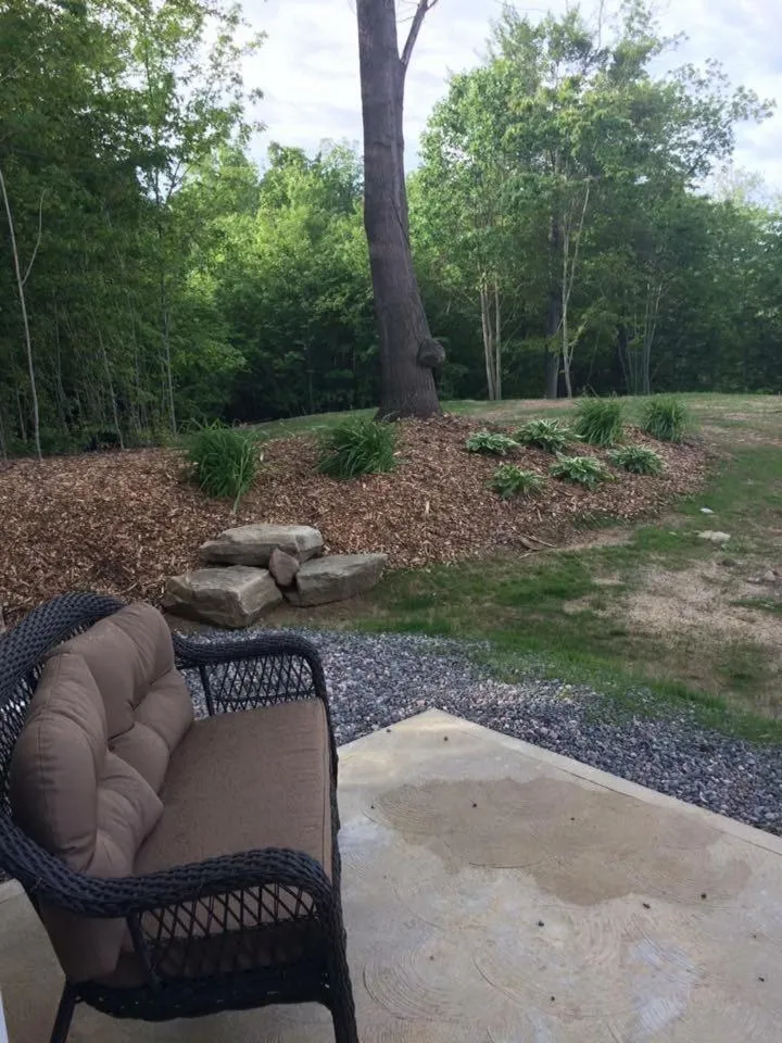 Sunrise in Vineyard Woods