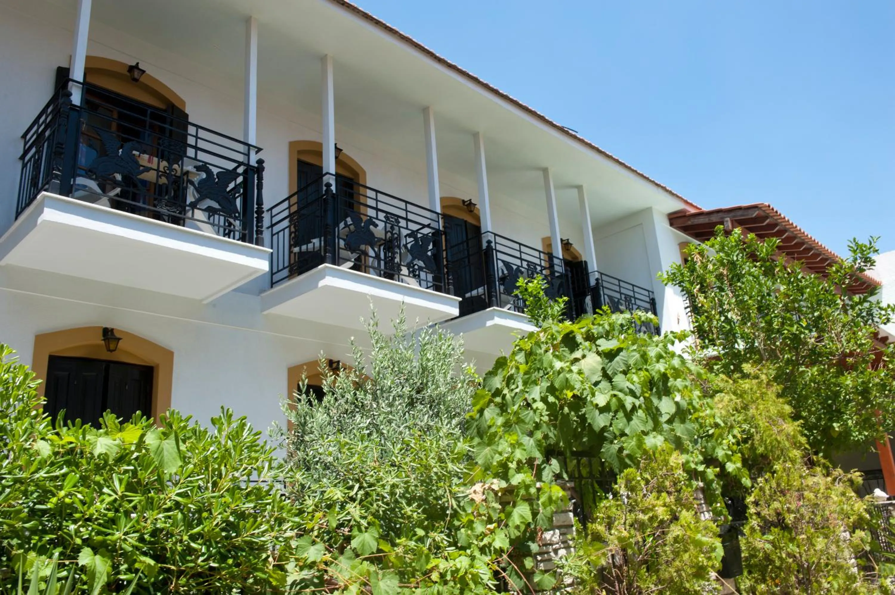 Summer in Pegasus Hotel