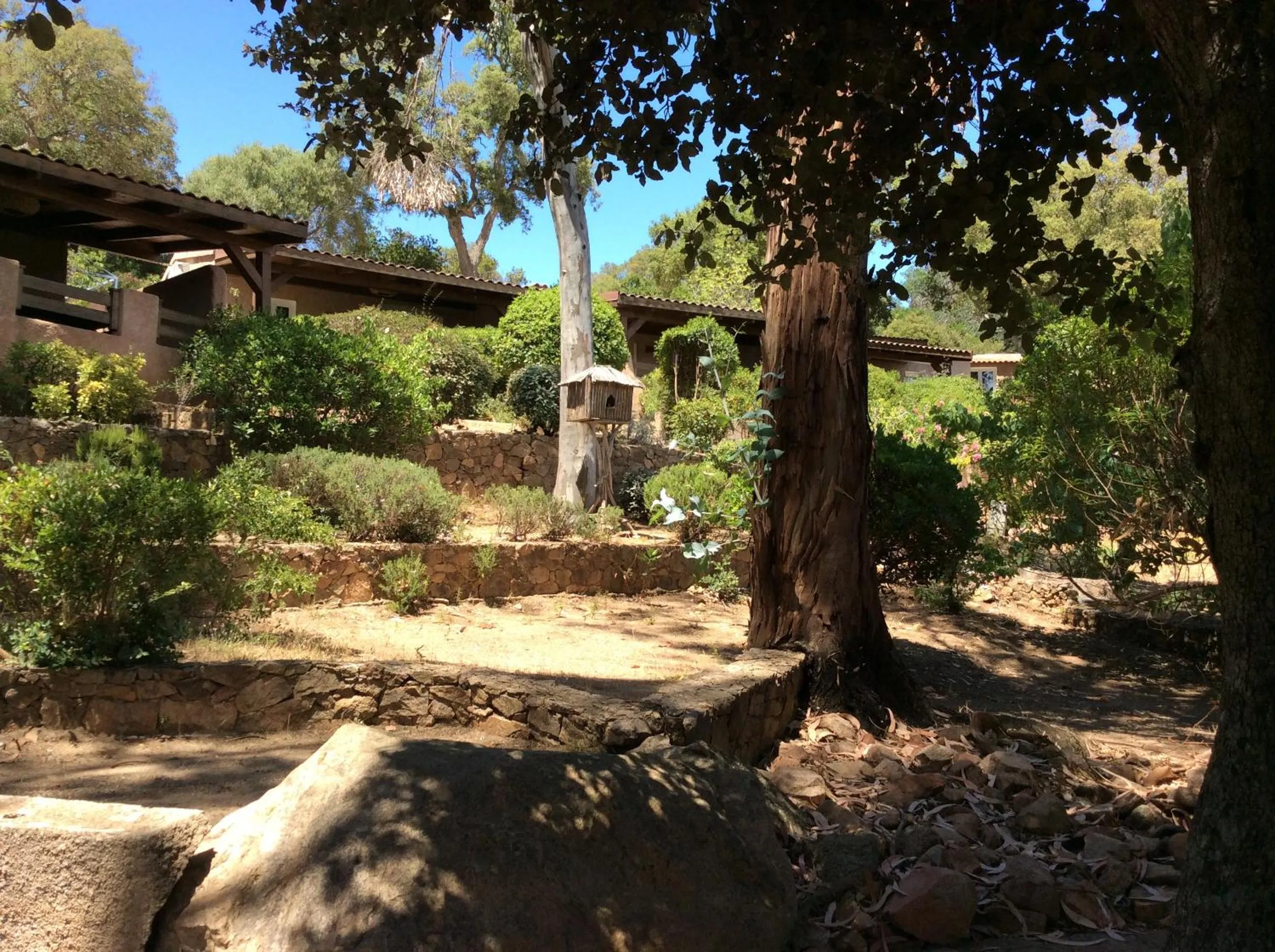 Garden view in Hotel Les Hauts de Porto-Vecchio