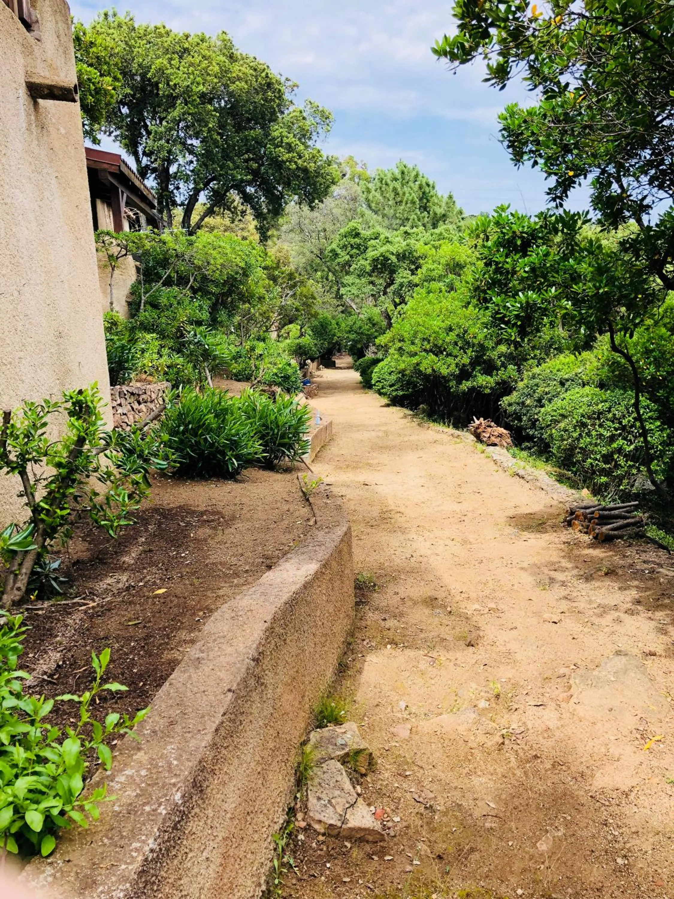 Garden view in Hotel Les Hauts de Porto-Vecchio