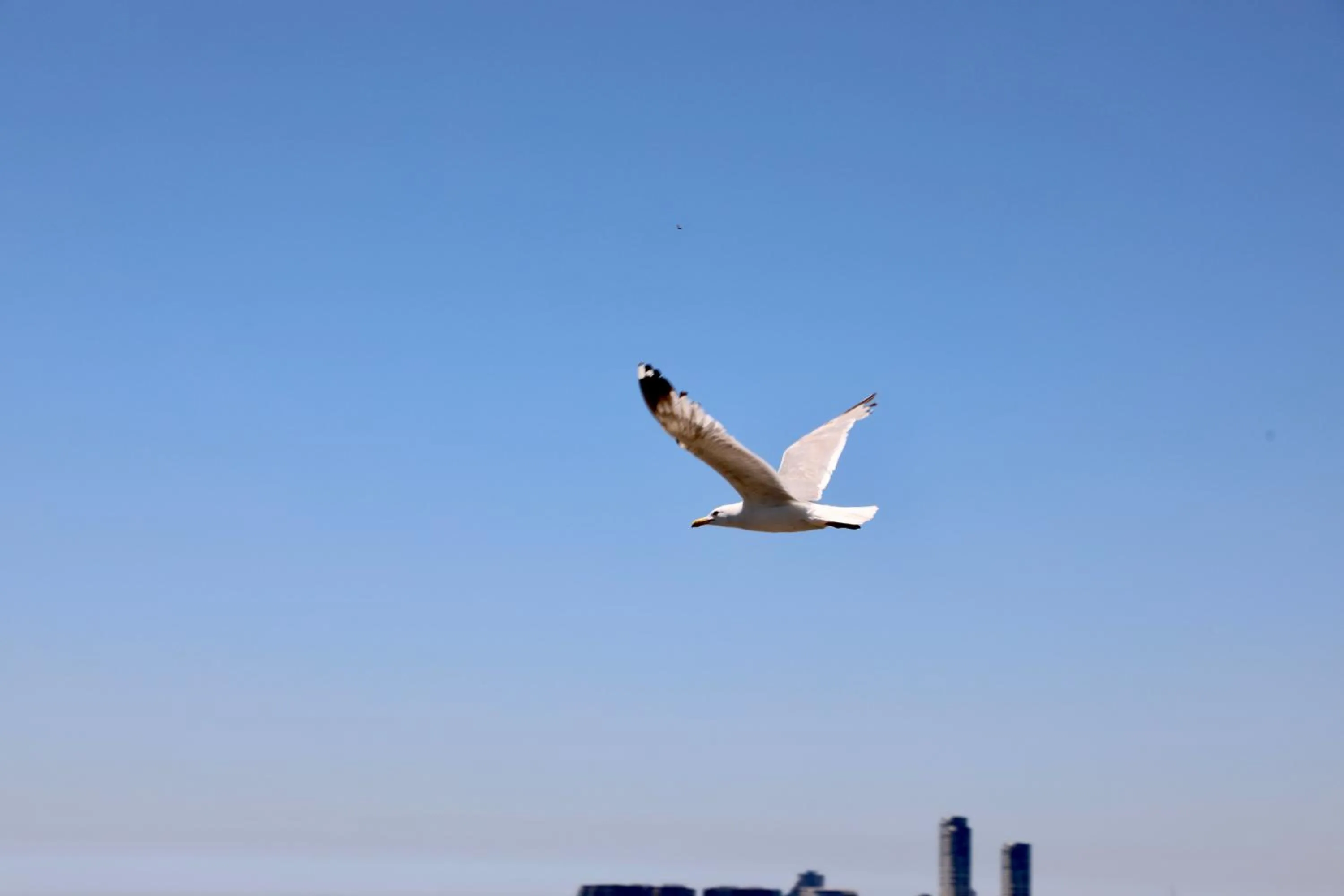 Day in Villa Sphendone Suites Istanbul