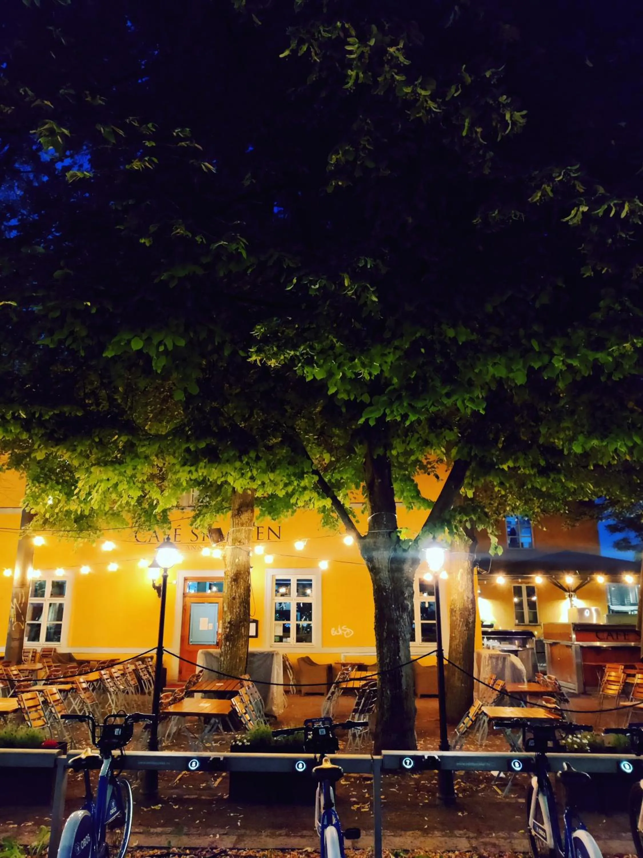 Restaurant/places to eat in First Hotel Millennium