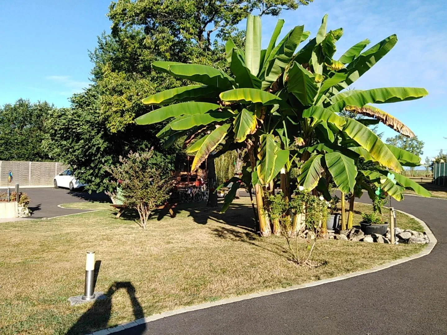 Garden in Au Petit Pédegouaty