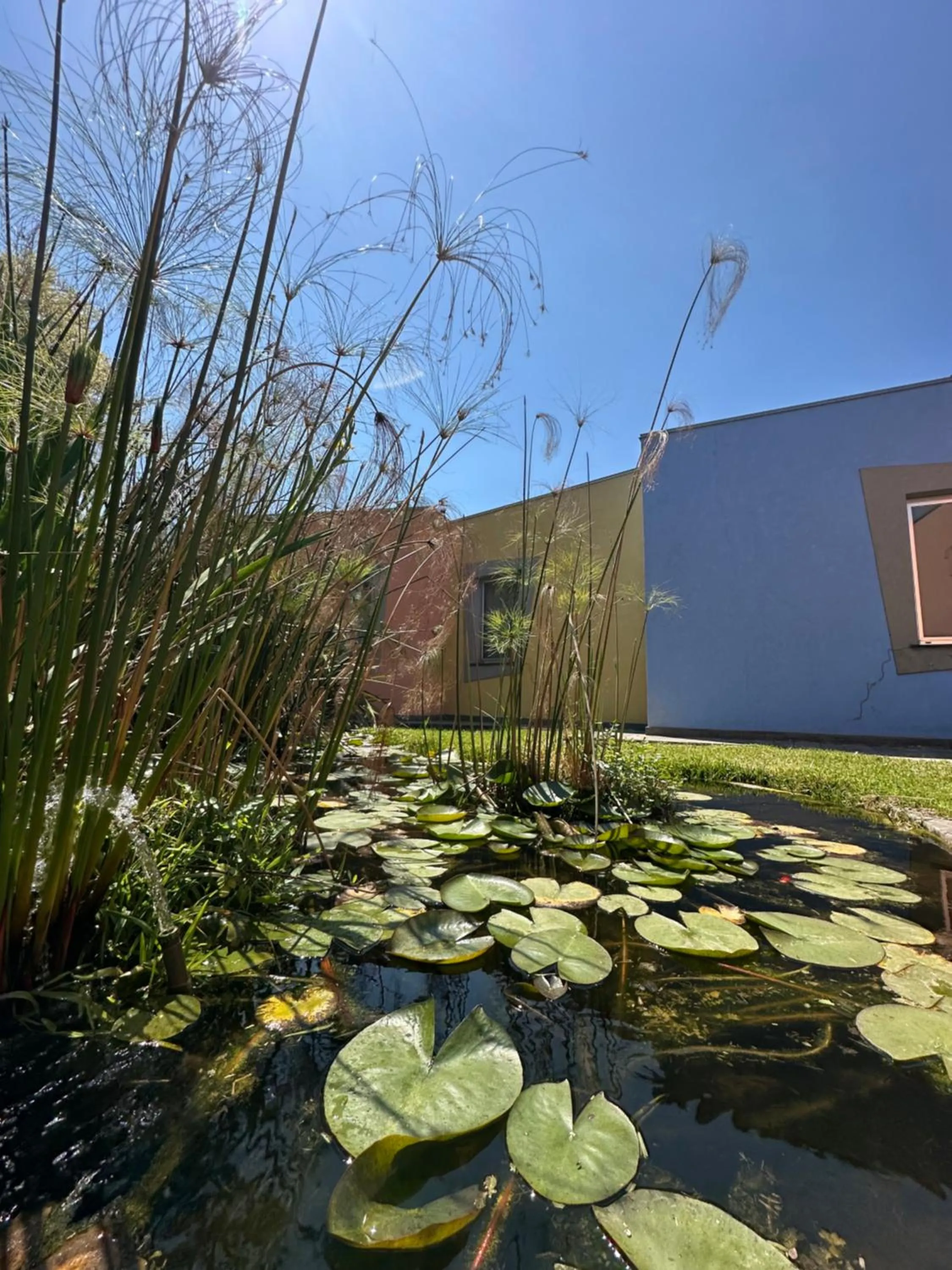 Garden in ibis Styles Catania Acireale