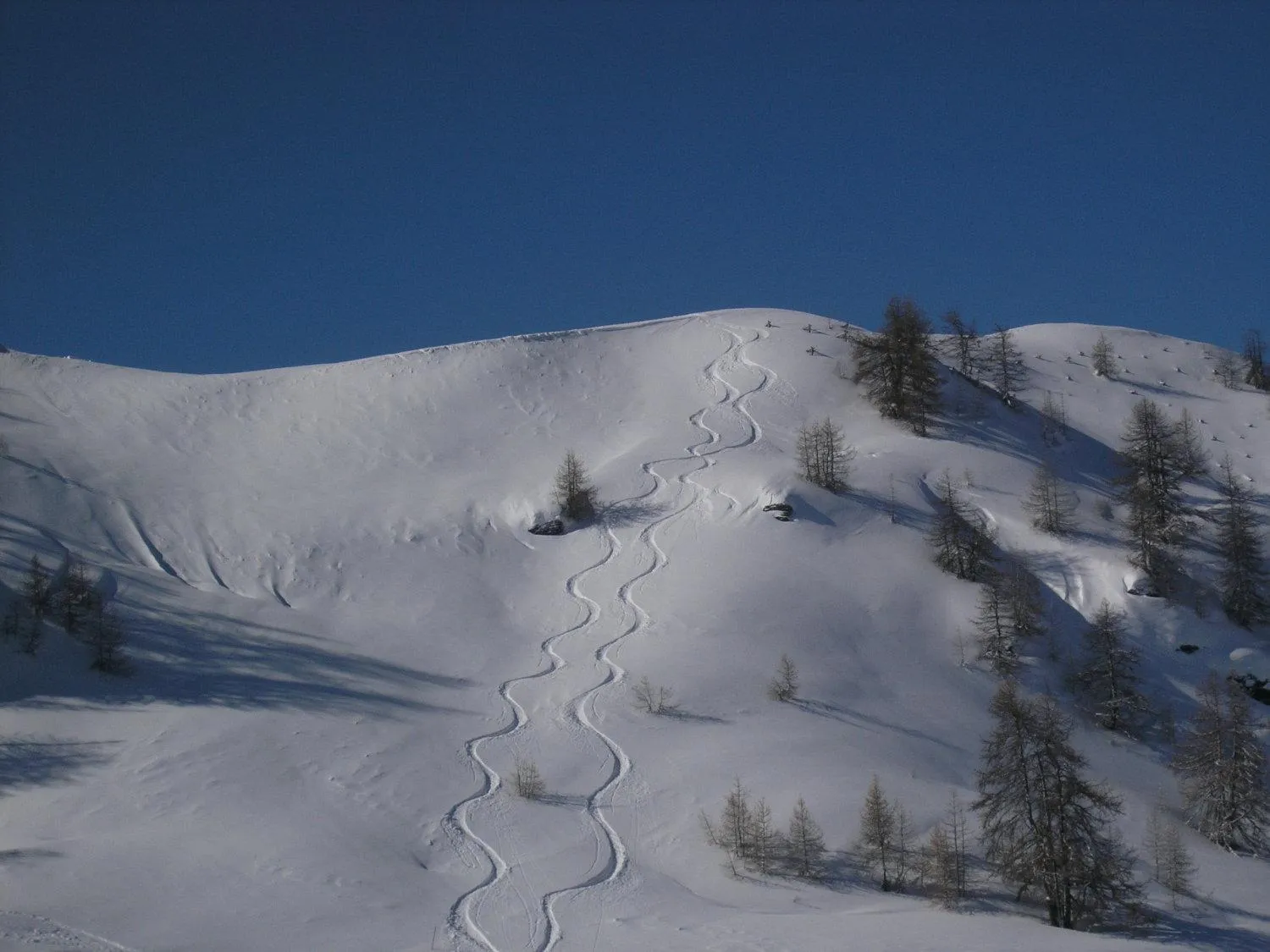 Area and facilities in Hotel Martin