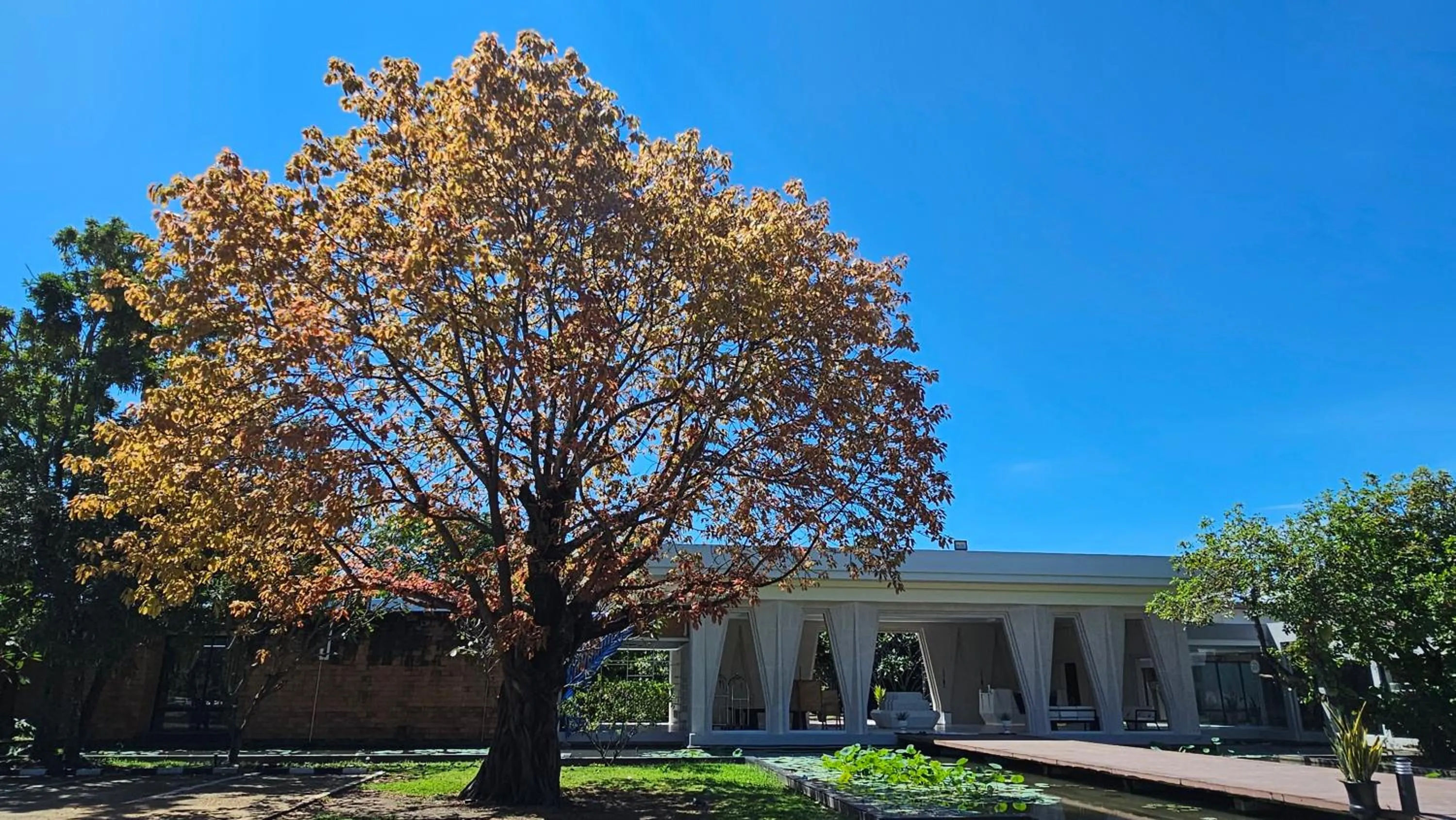 Lobby or reception in Sukhothai Treasure Resort & Spa
