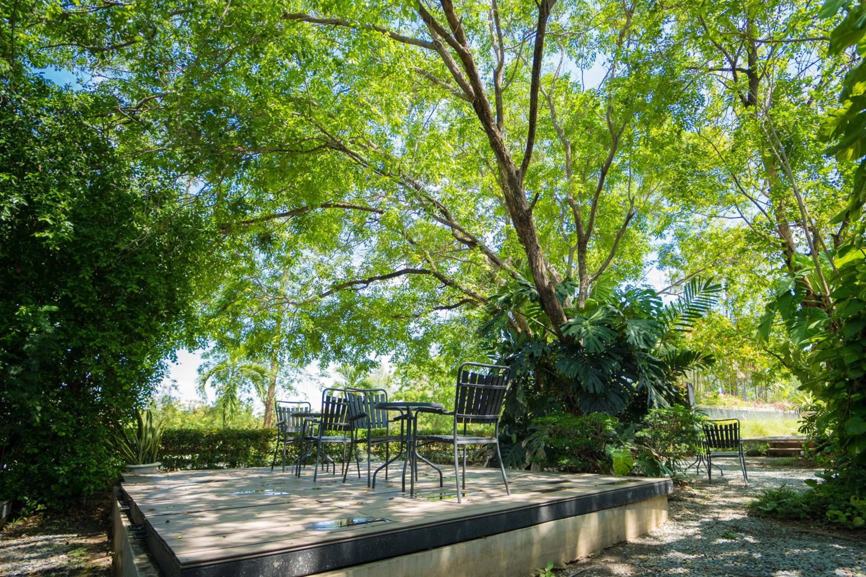 Natural landscape in Sukhothai Treasure Resort & Spa