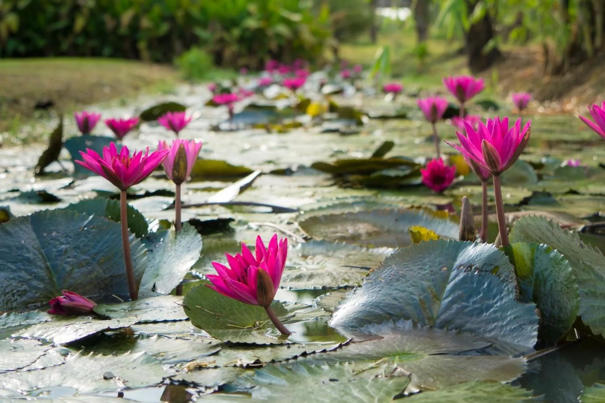 Property building in Sukhothai Treasure Resort & Spa