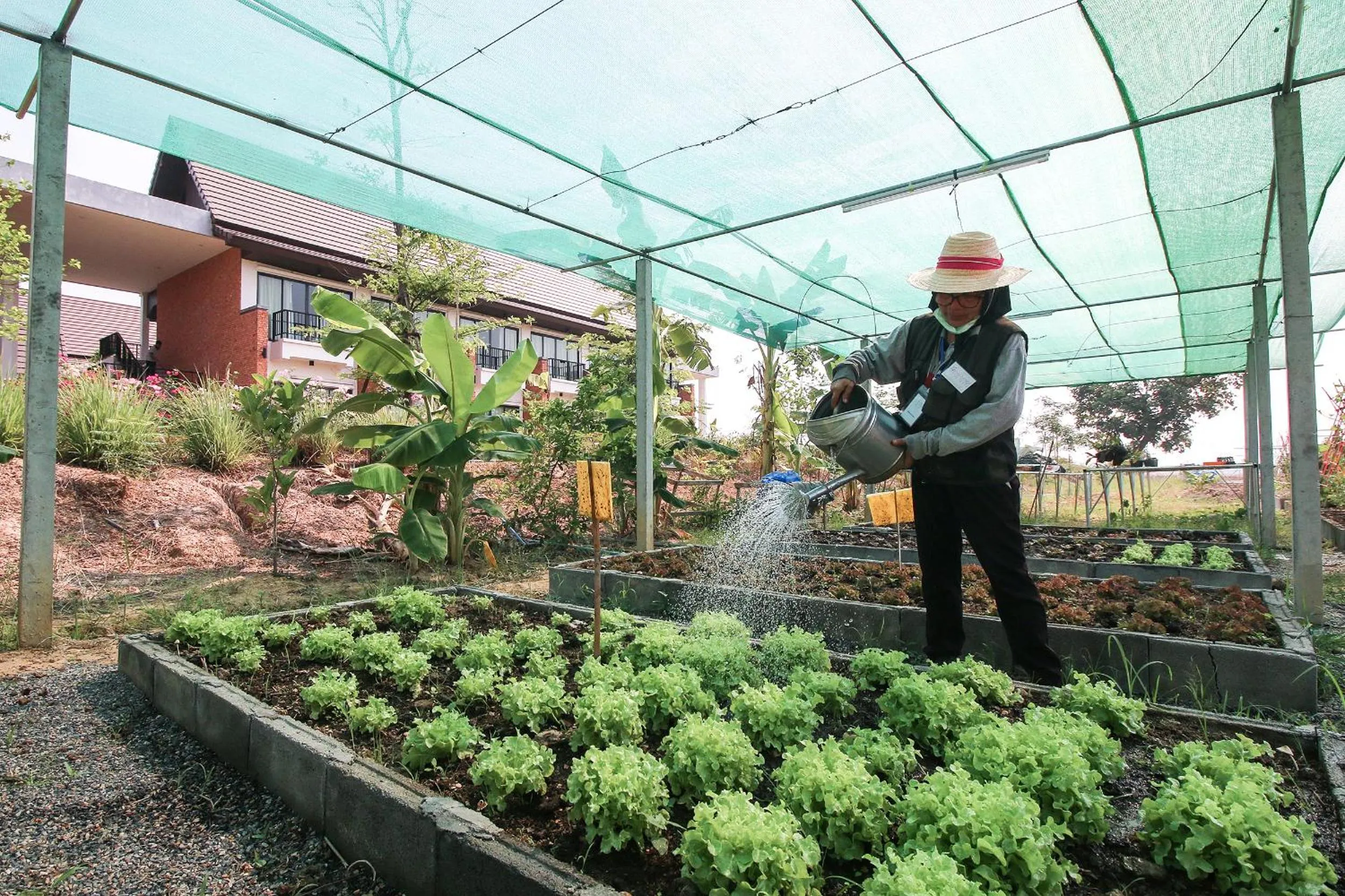 Property building in Sukhothai Treasure Resort & Spa